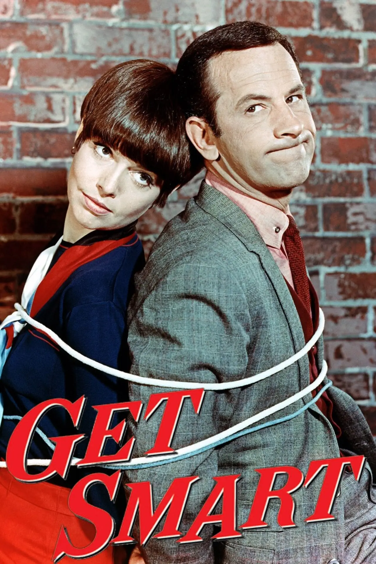 Постер к сериалу "Get Smart"