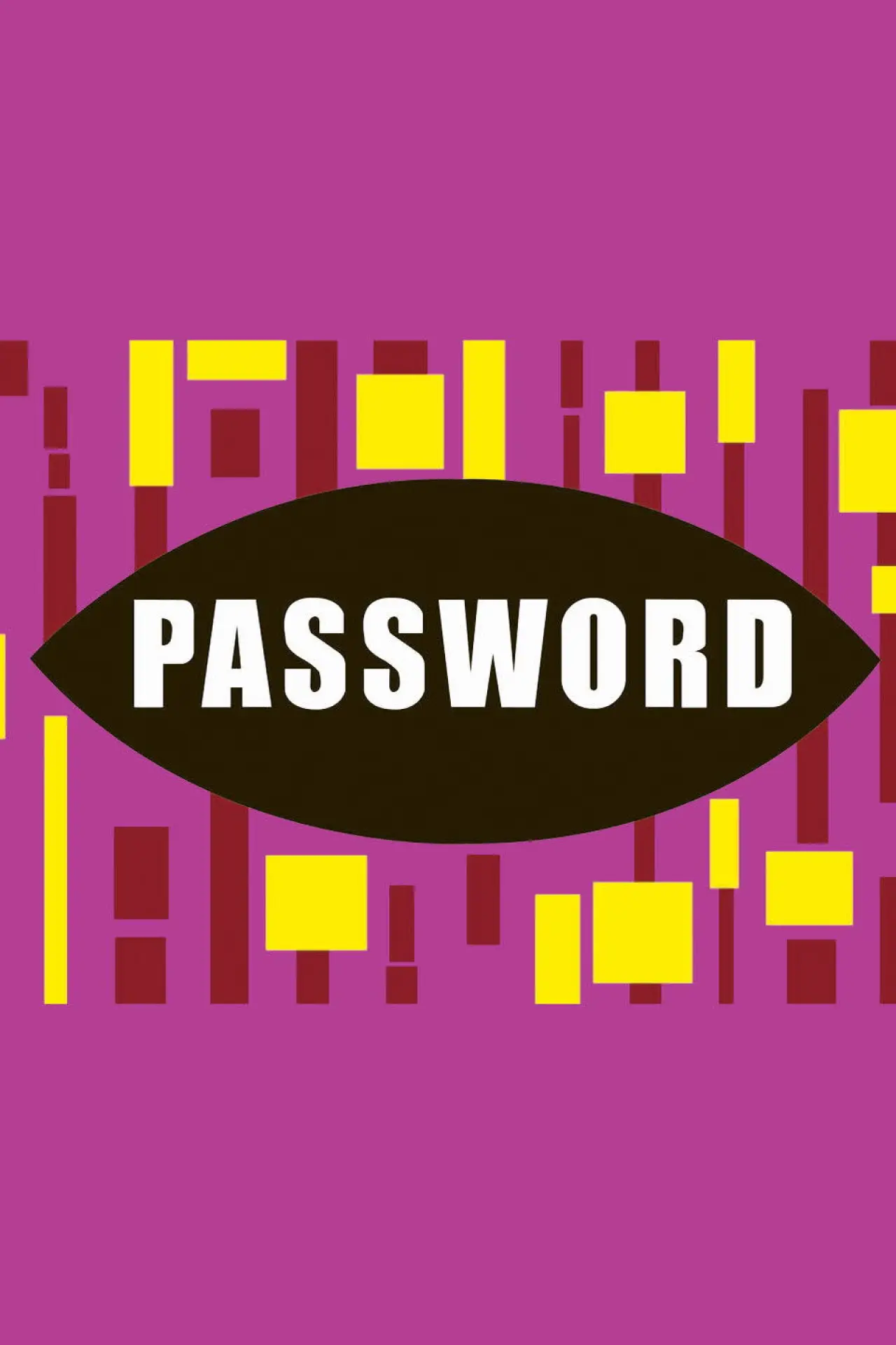 Plakat serialu "Password"