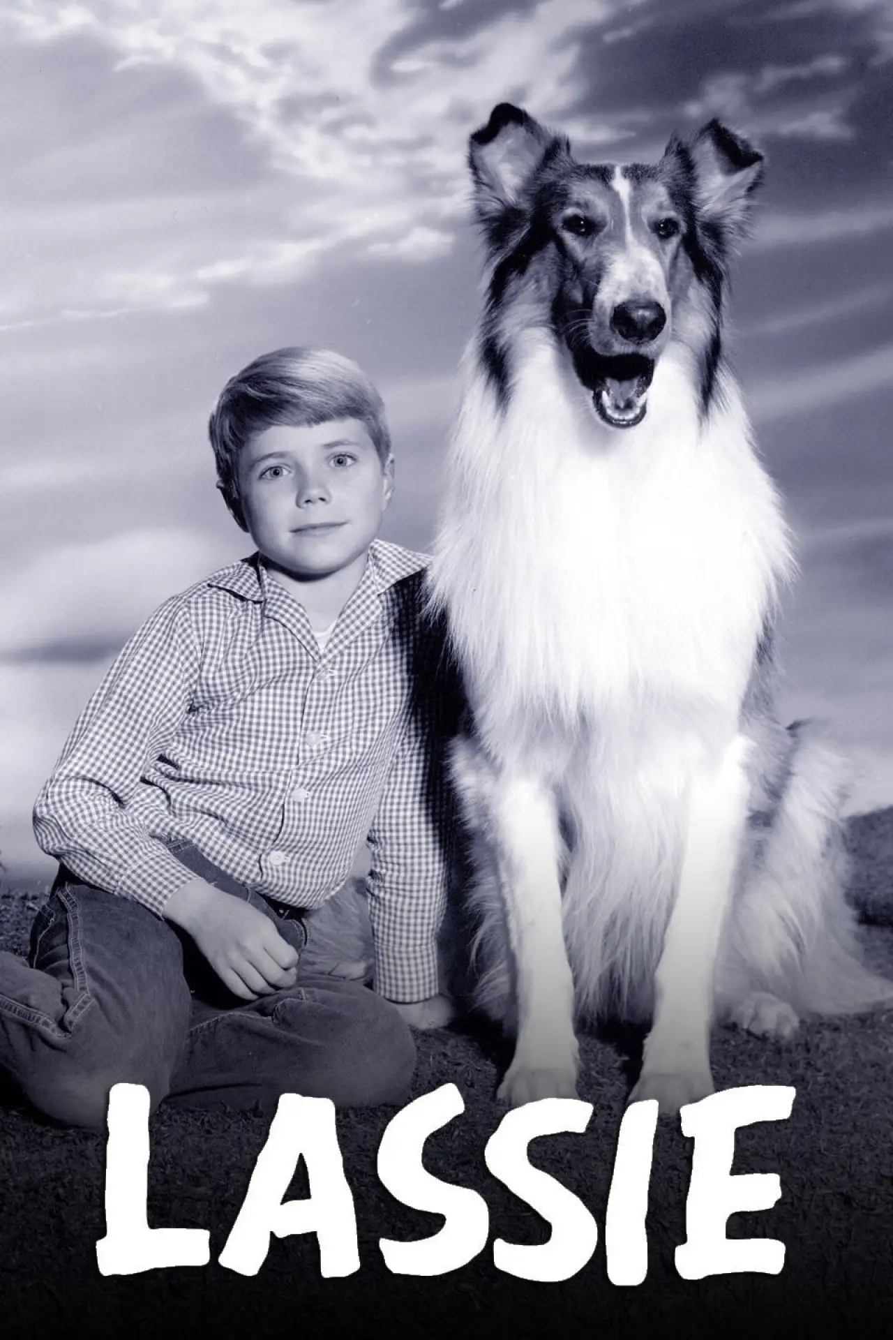 Постер к сериалу "Lassie"