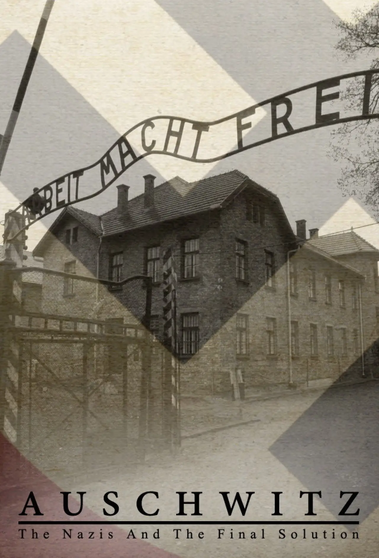Plakat serialu "Auschwitz. Naziści i "Ostateczne rozwiązanie""