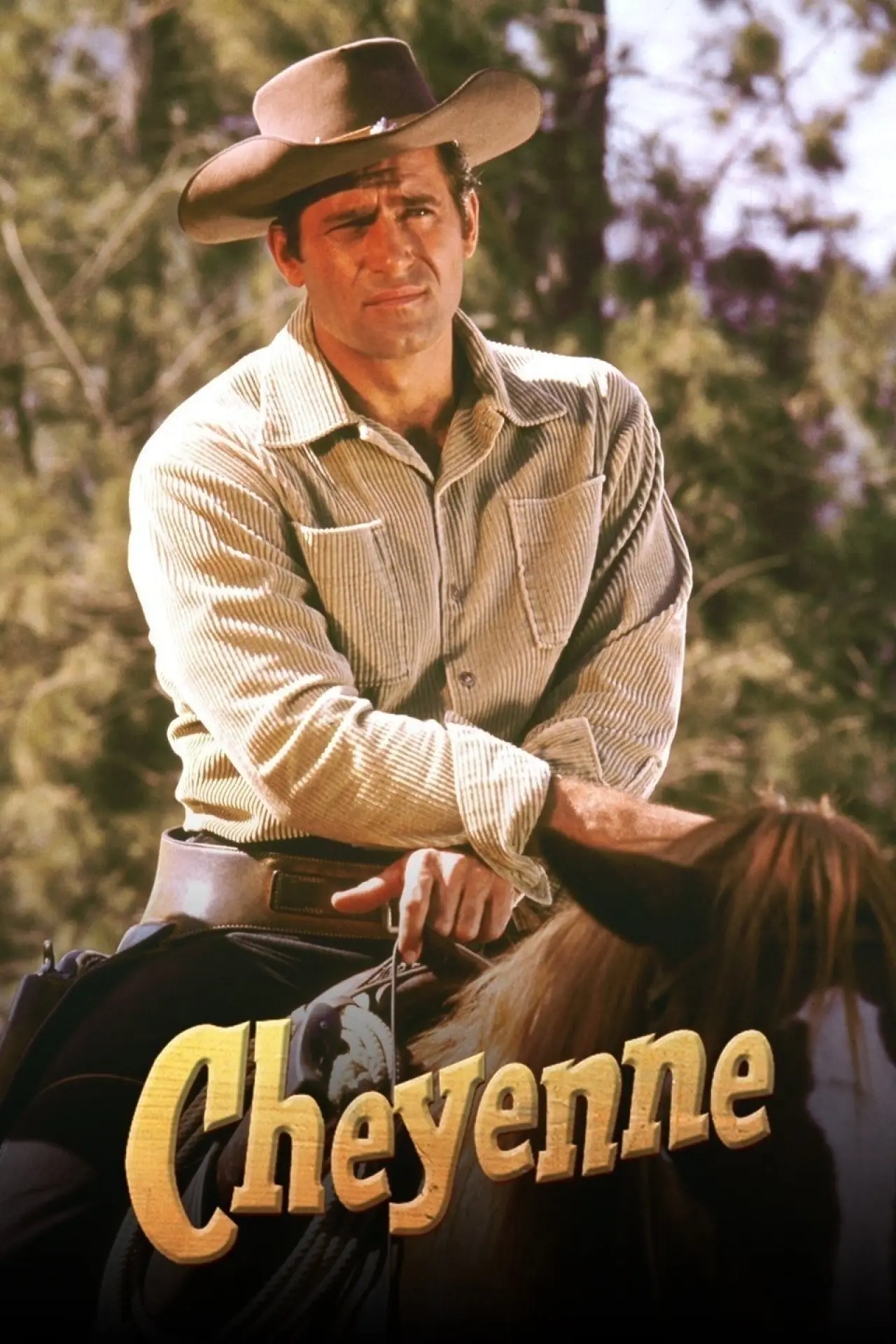 Постер к сериалу "Cheyenne"