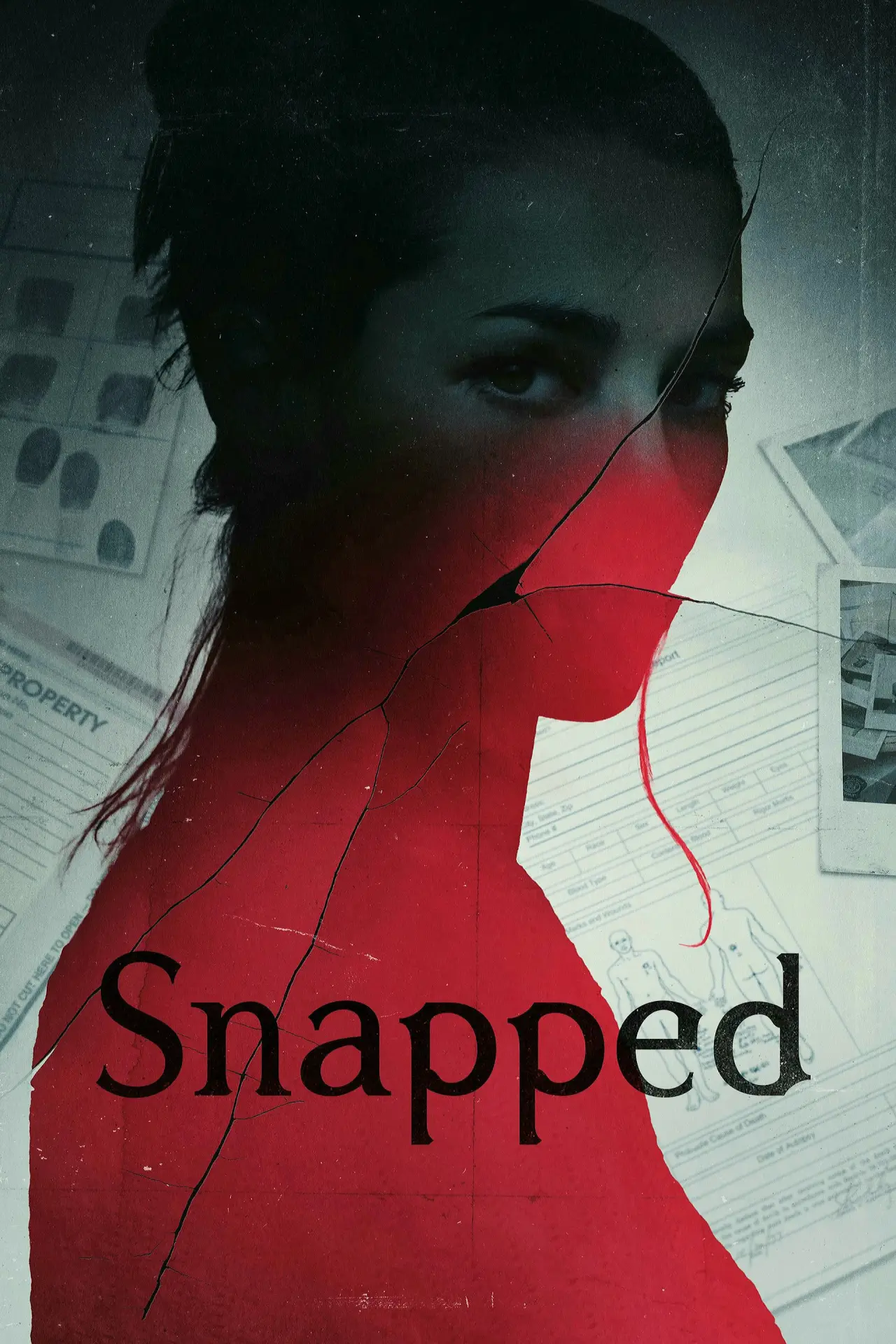 Постер к сериалу "Snapped"