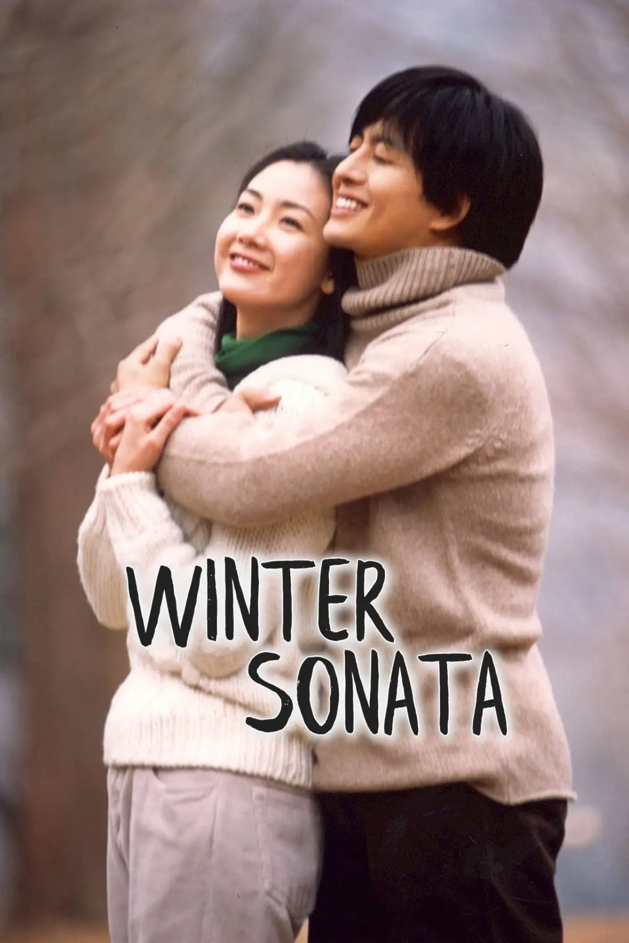 Plakat serialu "Zimowa sonata"