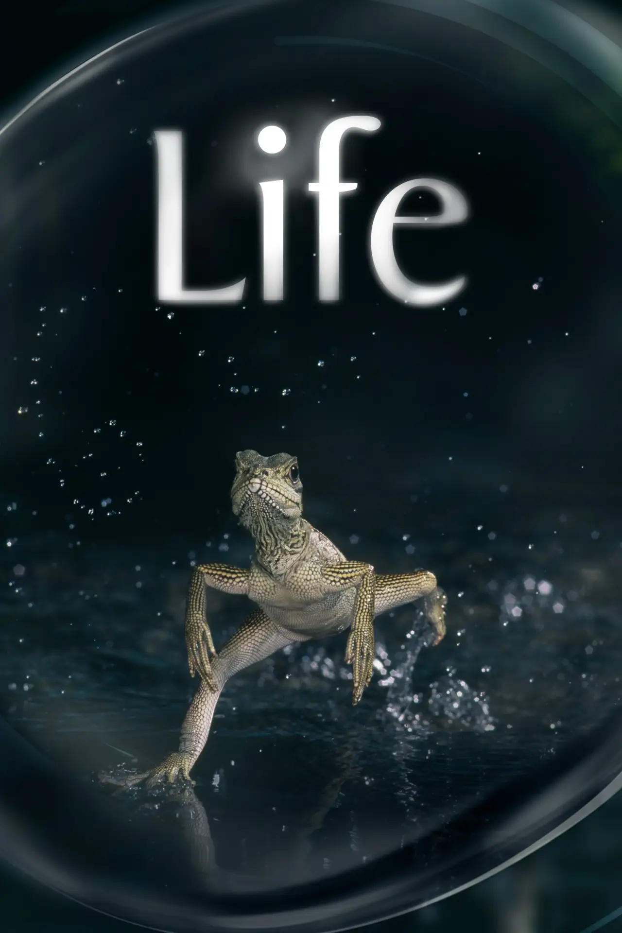 Постер к сериалу "Życie"