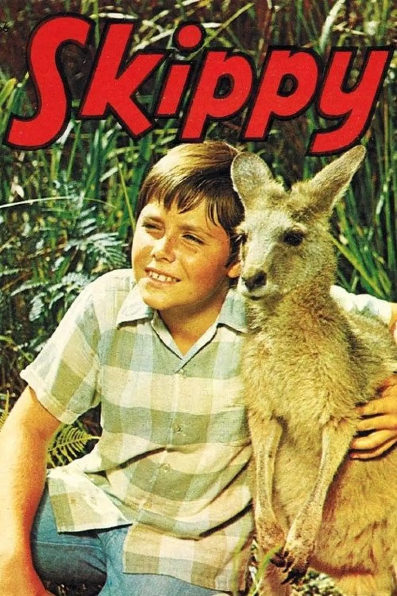 Постер к сериалу "Skippy the Bush Kangaroo"
