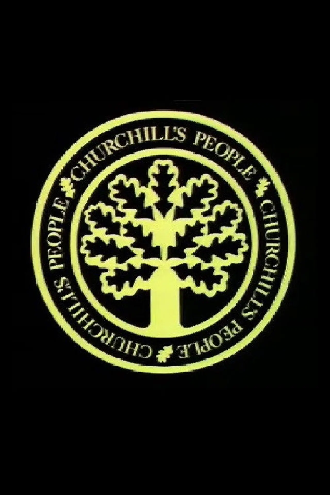 Постер к сериалу "Churchill