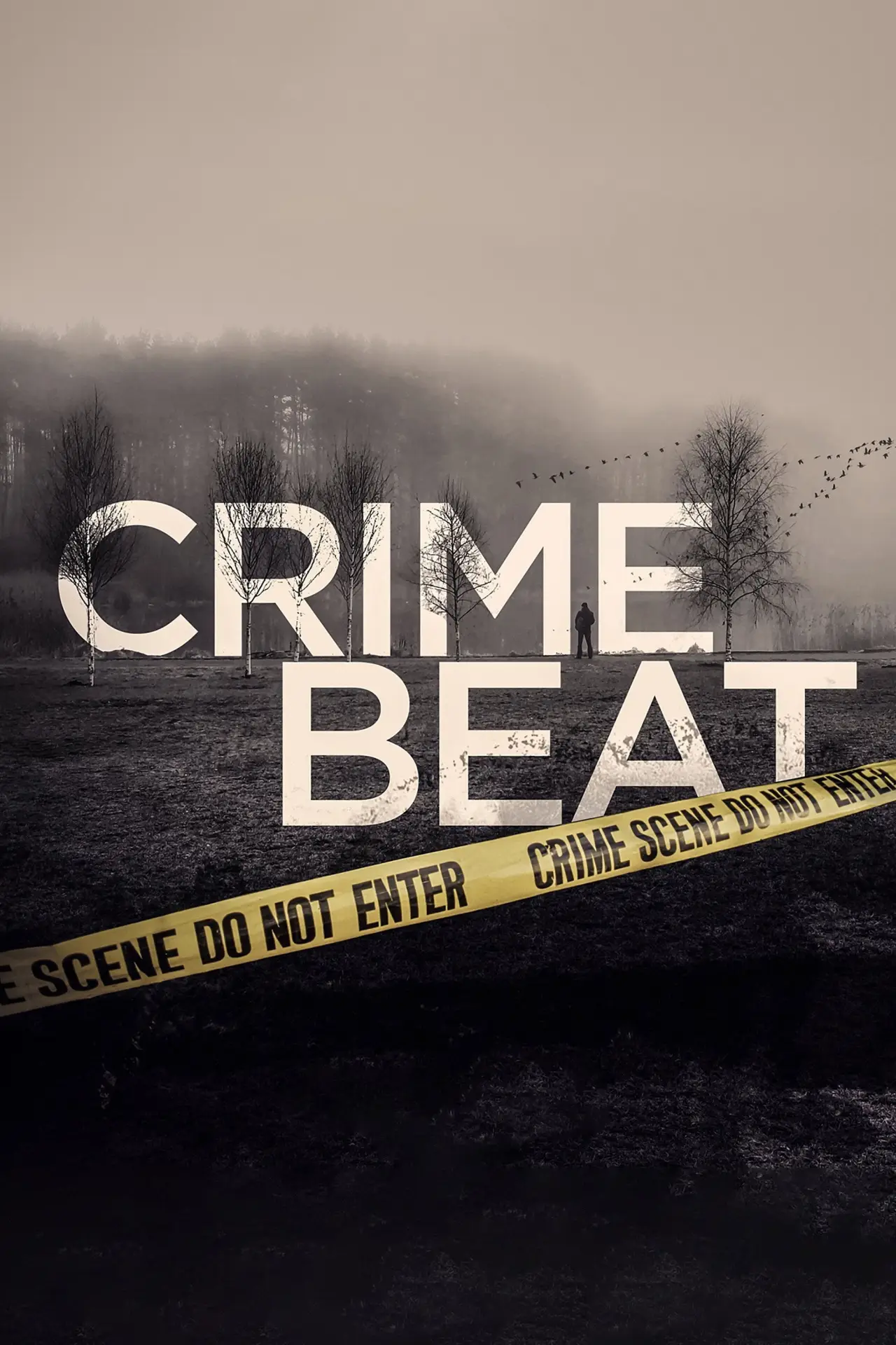 Plakat serialu "Crime Beat"