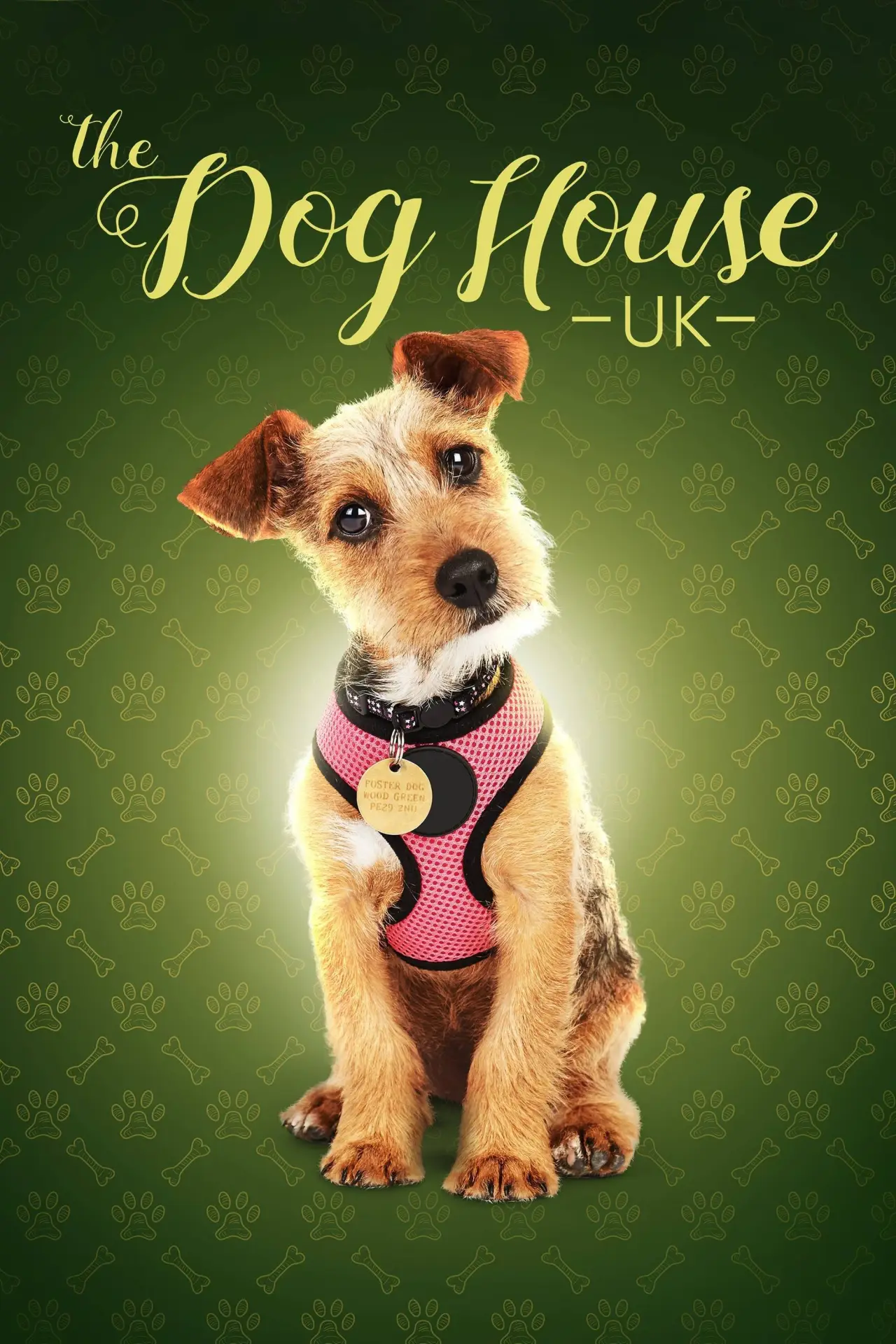 Plakat serialu "The Dog House"