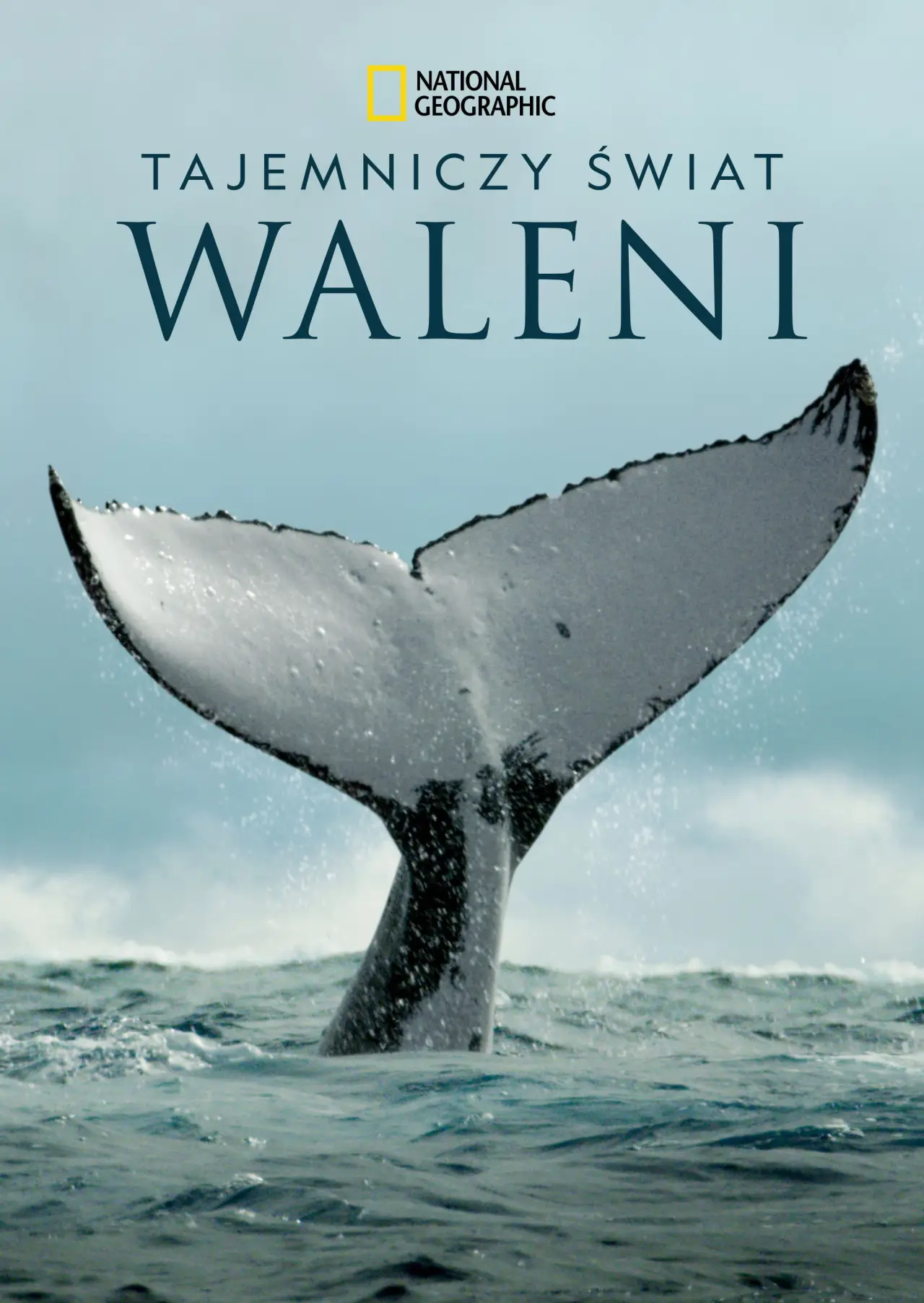 Plakat serialu "Tajemniczy świat waleni"