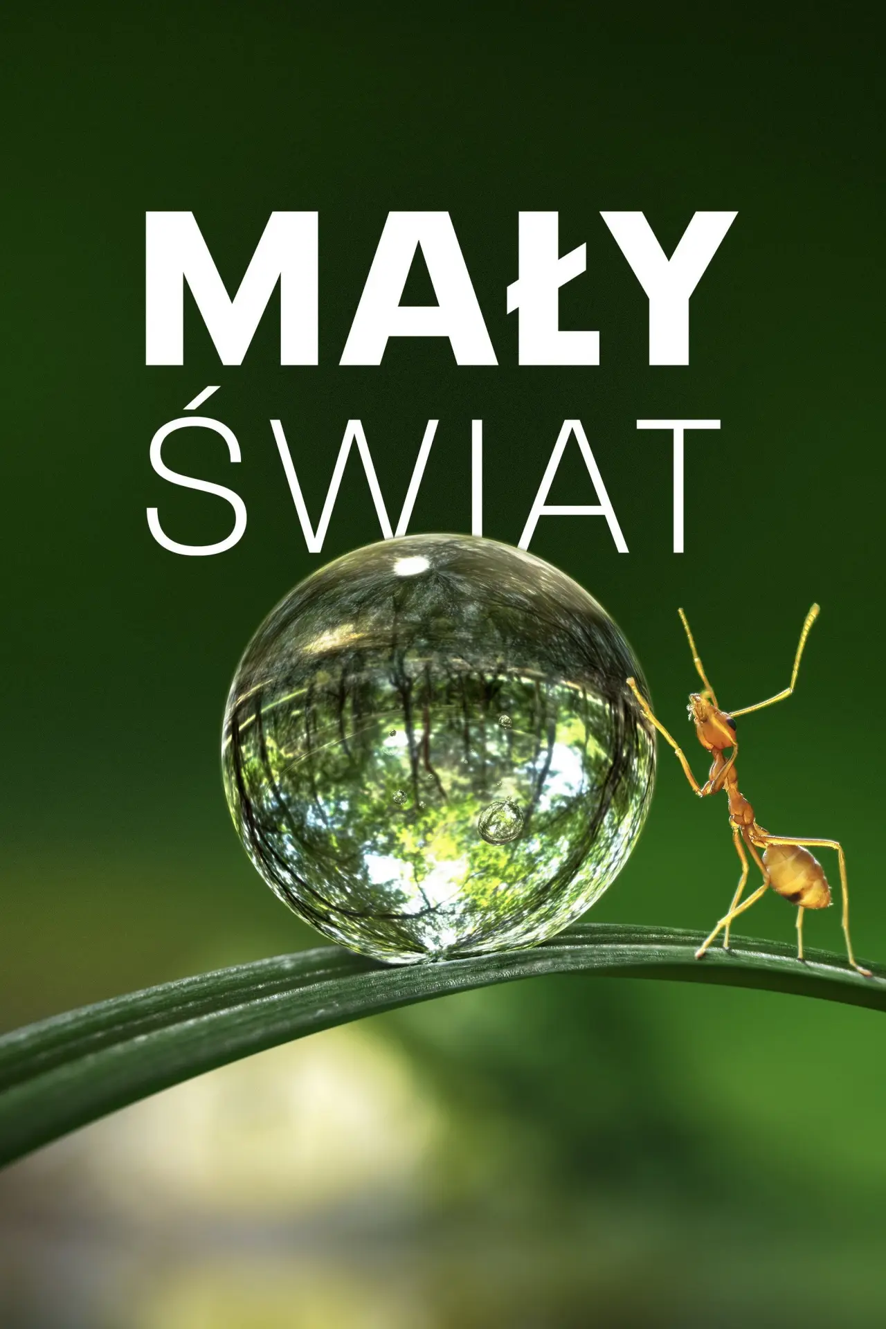 Постер к сериалу "Mały świat"