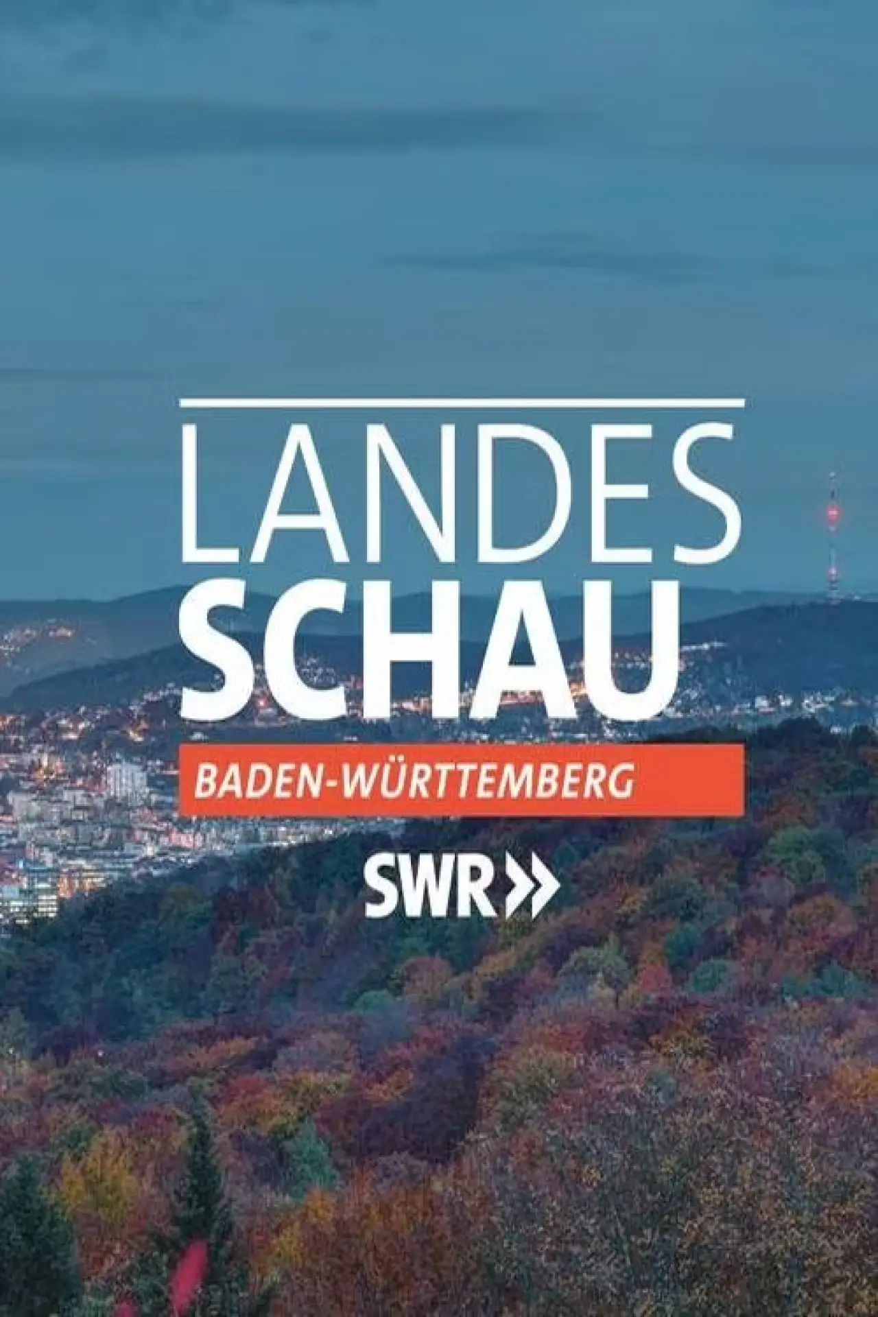 Plakat serialu "Landesschau Baden-Württemberg"