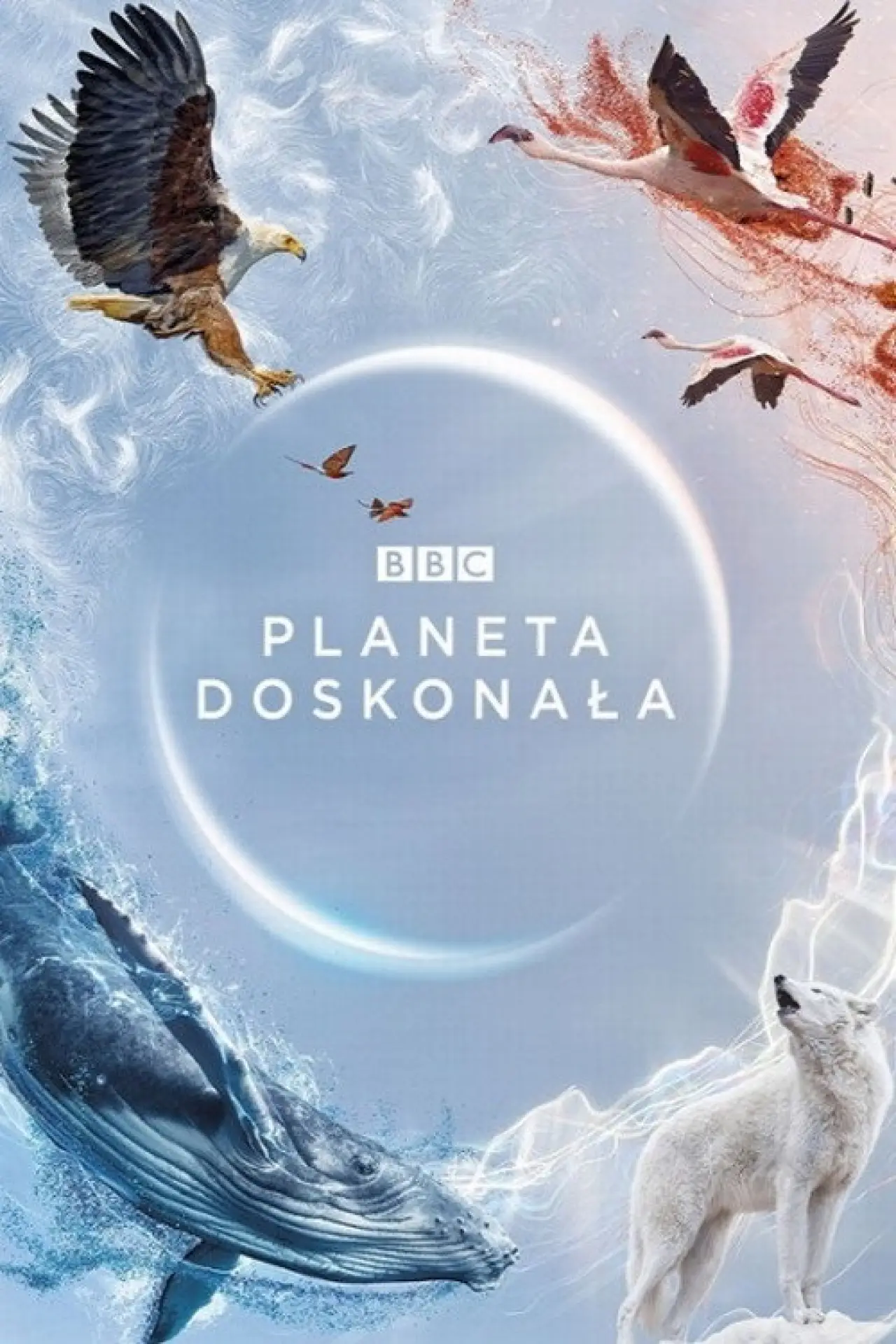 Plakat serialu "Planeta doskonała"