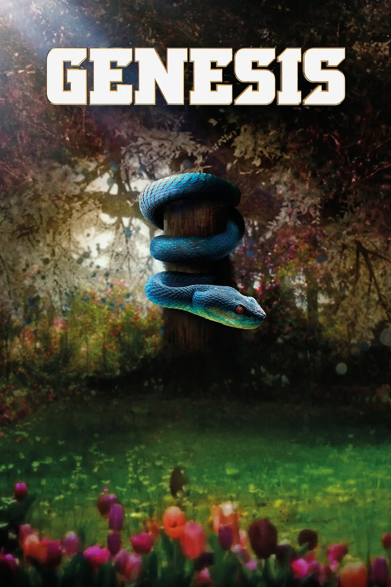 Постер к сериалу "Gênesis"