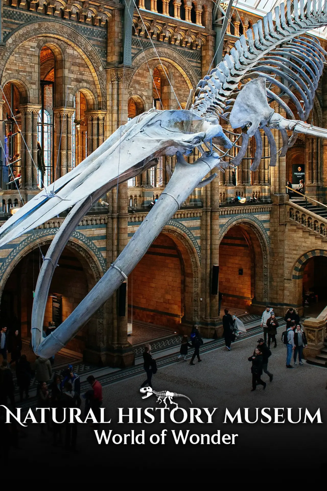 Plakat serialu "Muzeum Historii Naturalnej: Świat cudów"