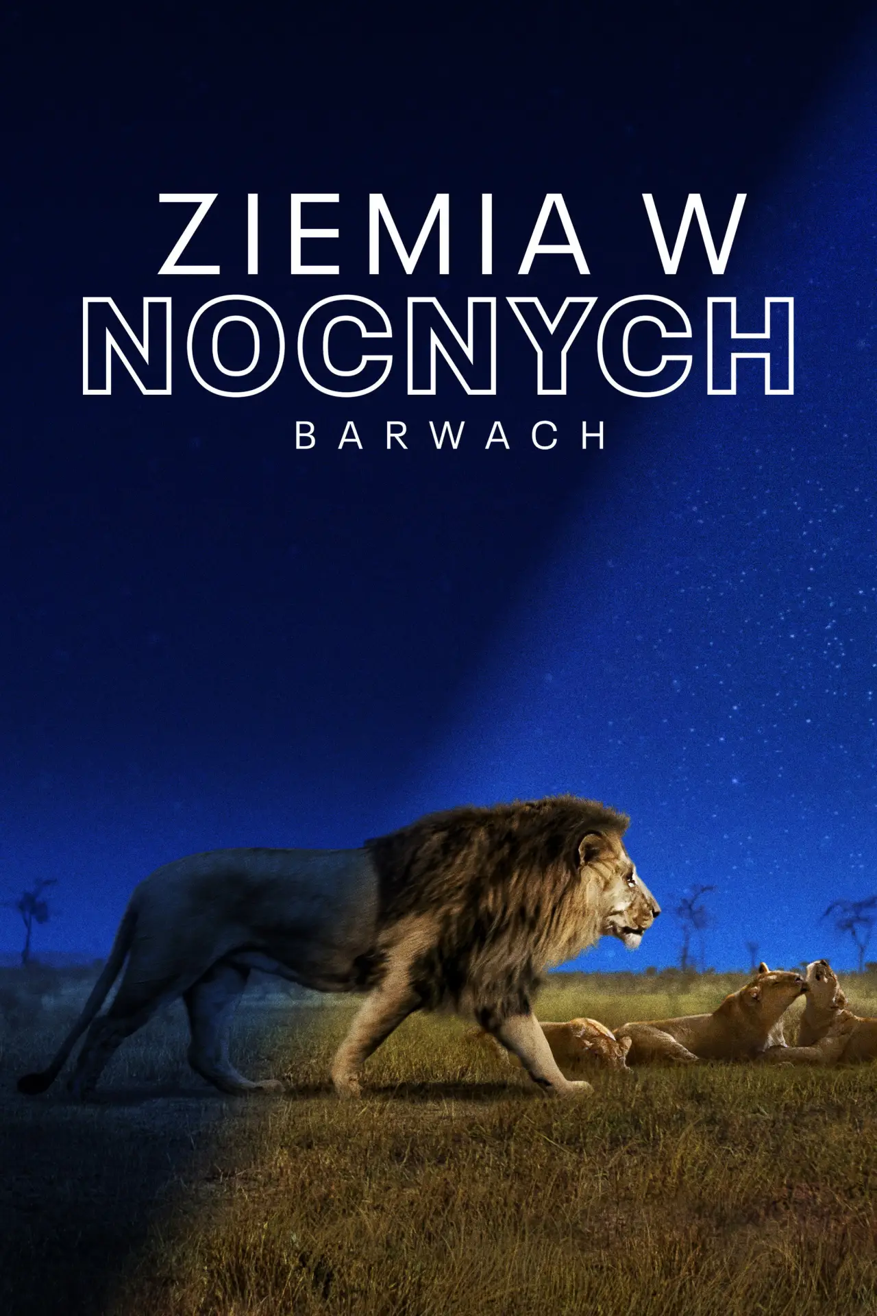 Постер к сериалу "Ziemia w nocnych barwach"