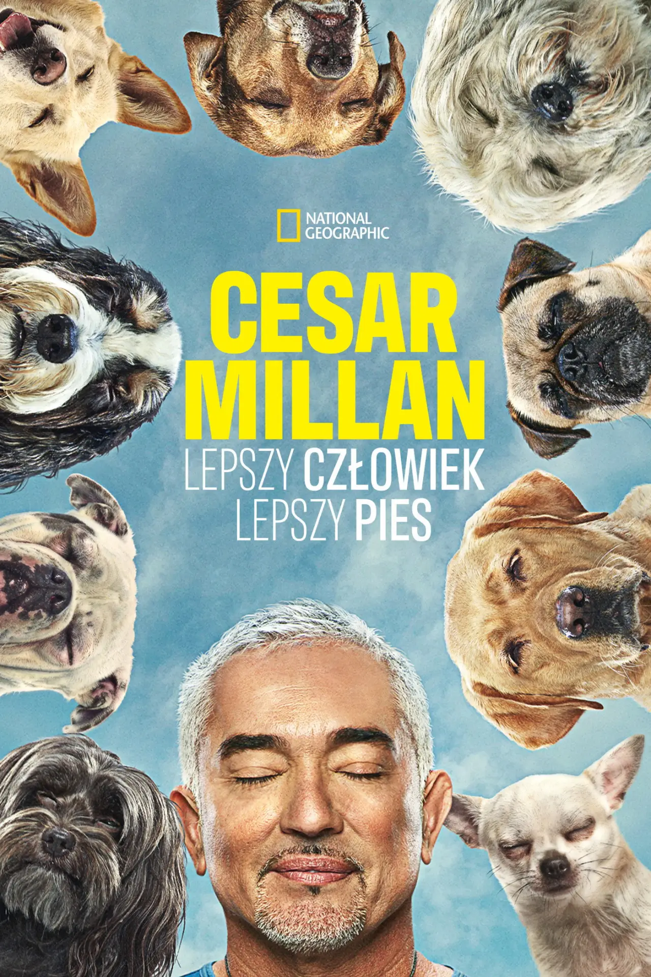 Постер к сериалу "Cesar Millan: lepszy człowiek, lepszy pies"
