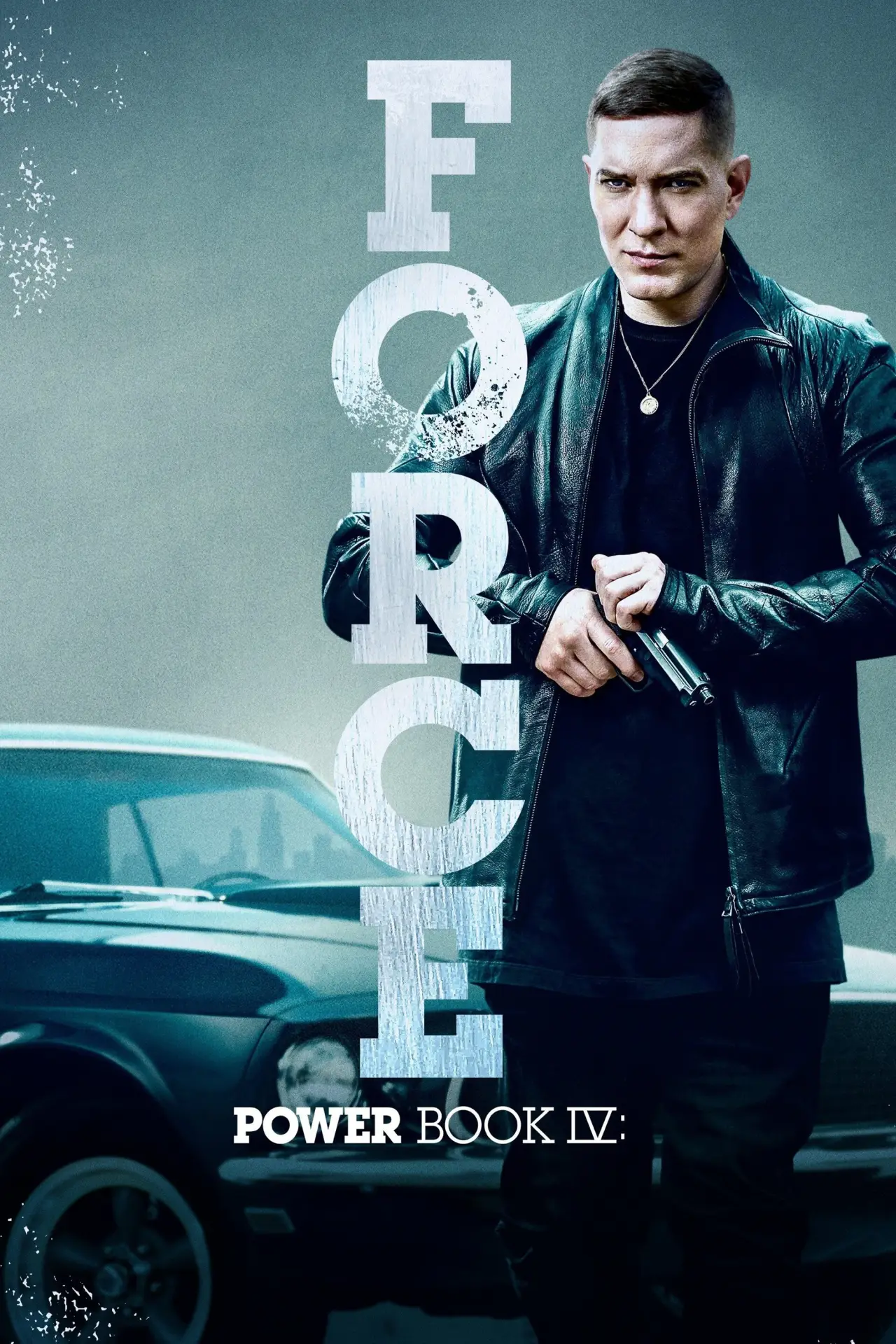Постер к сериалу "Power Book IV: Force"