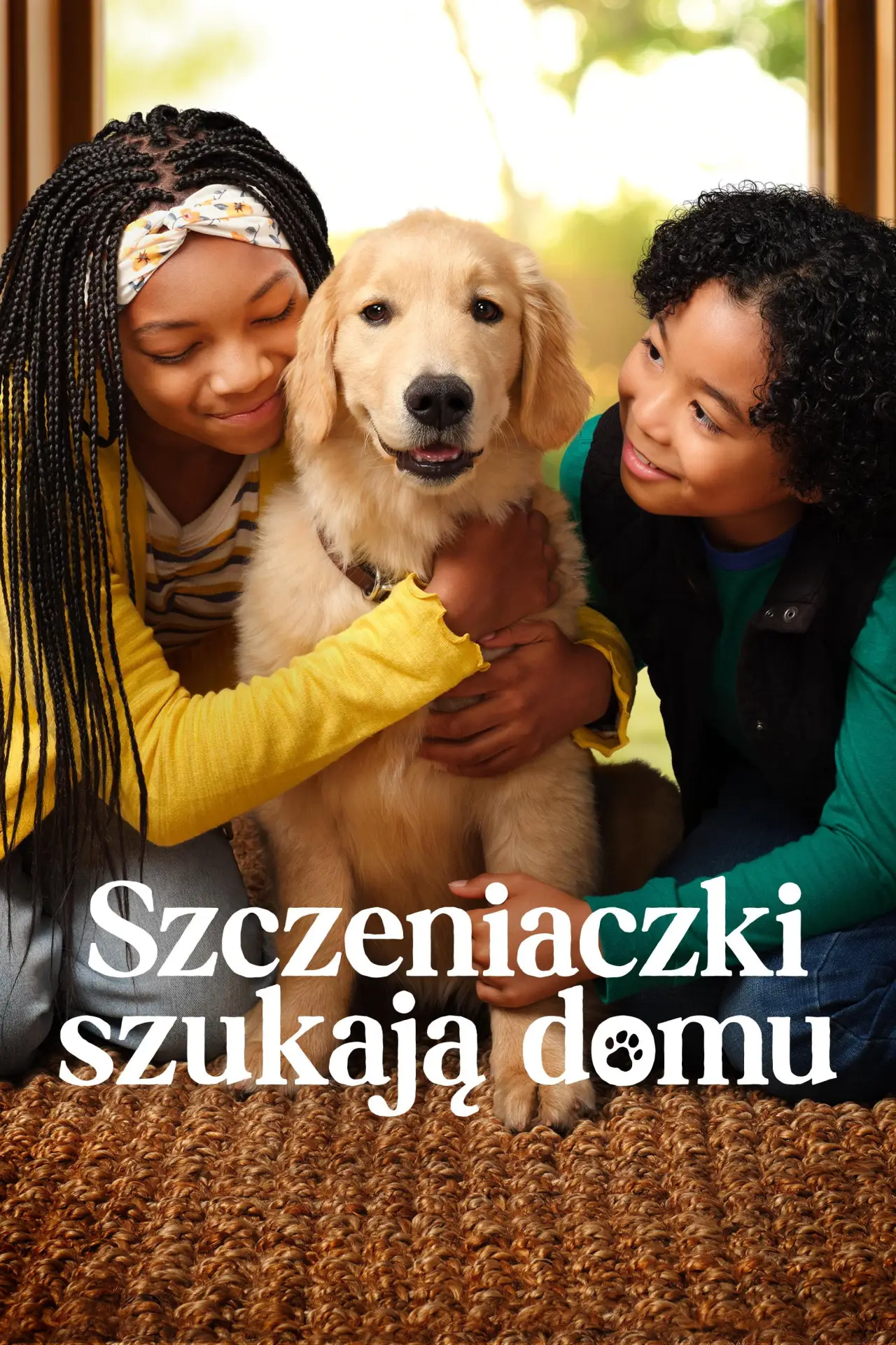 Постер к сериалу "Szczeniaczki szukają domu"