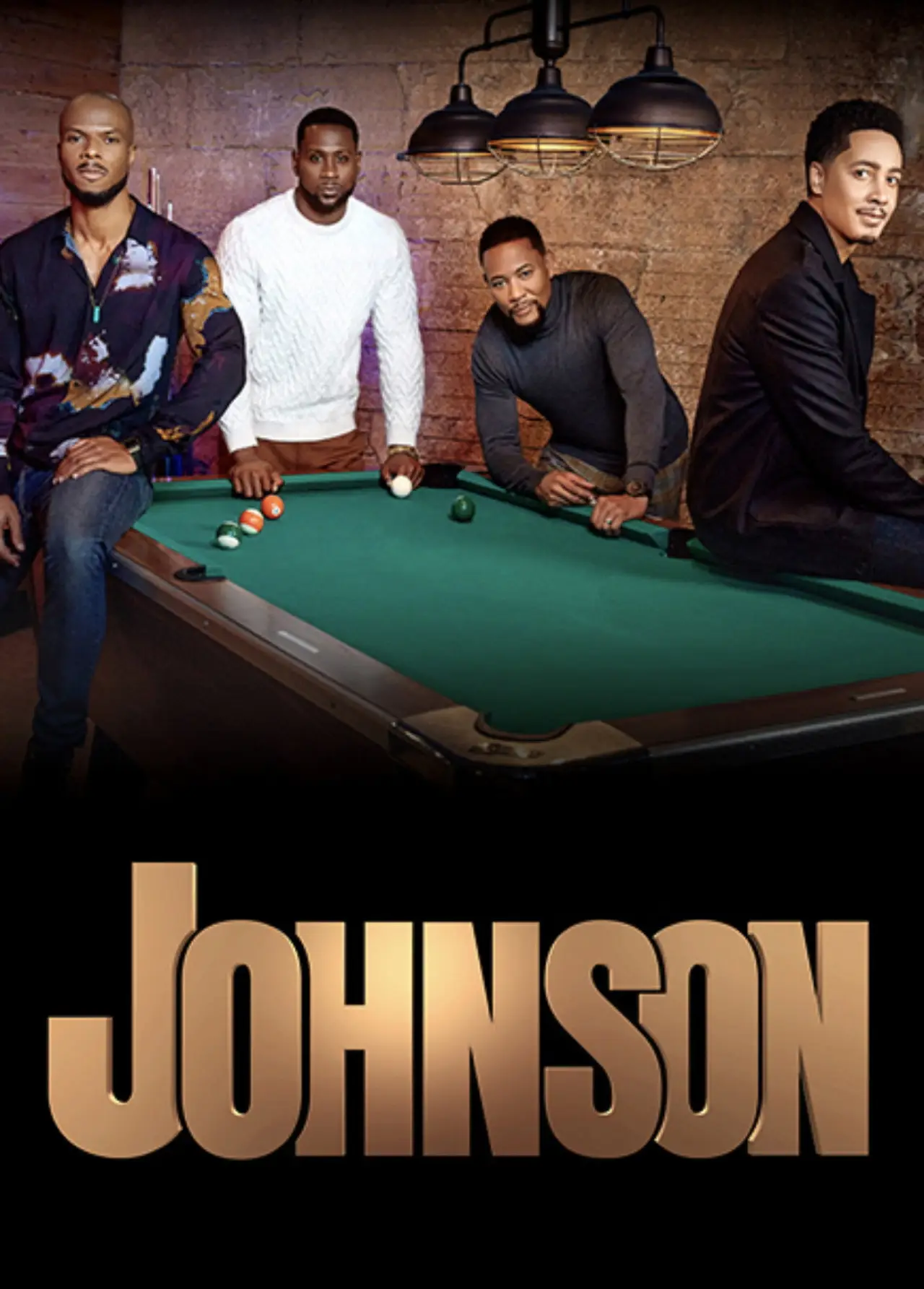Plakat serialu "Johnson"