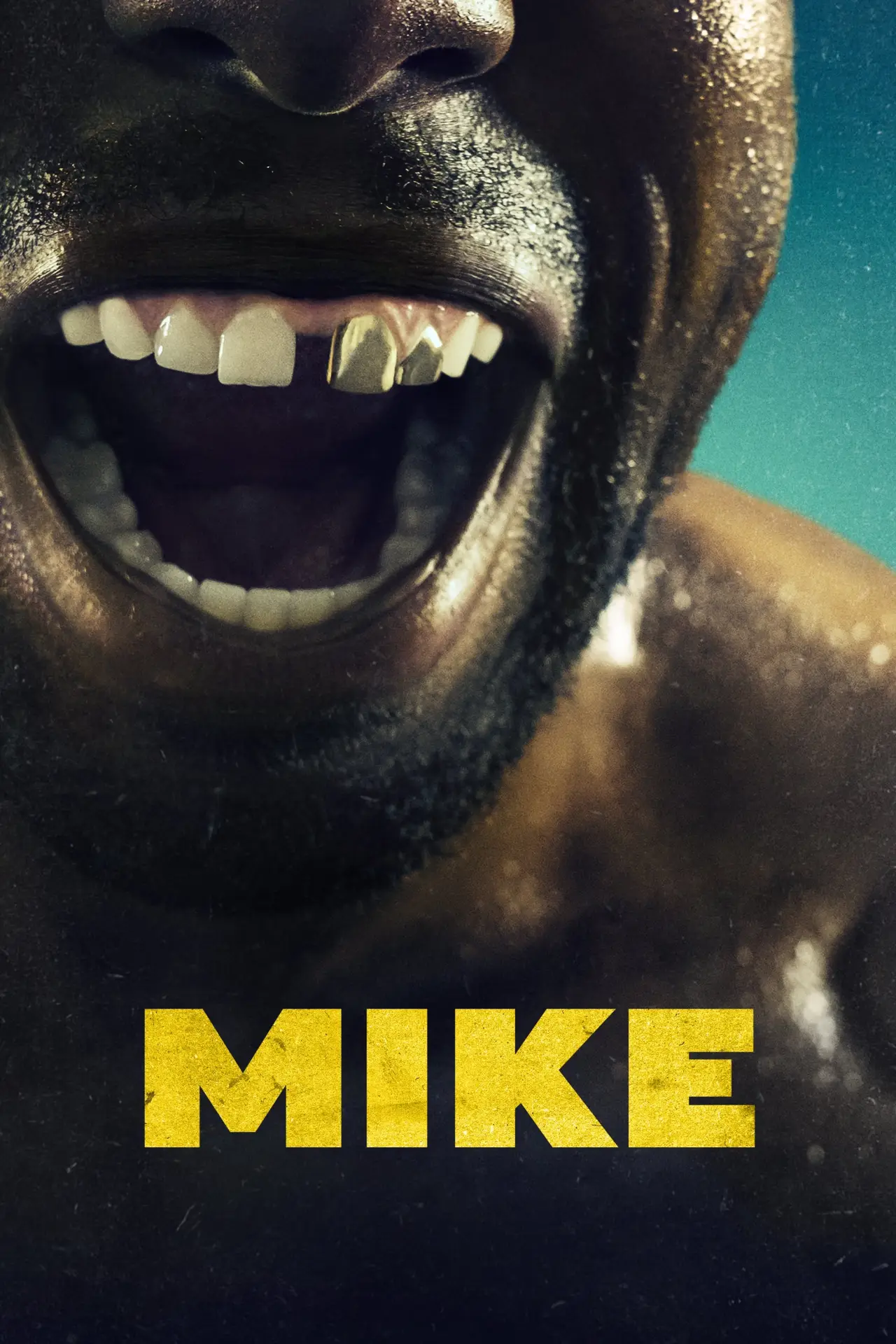 Plakat serialu "Mike"