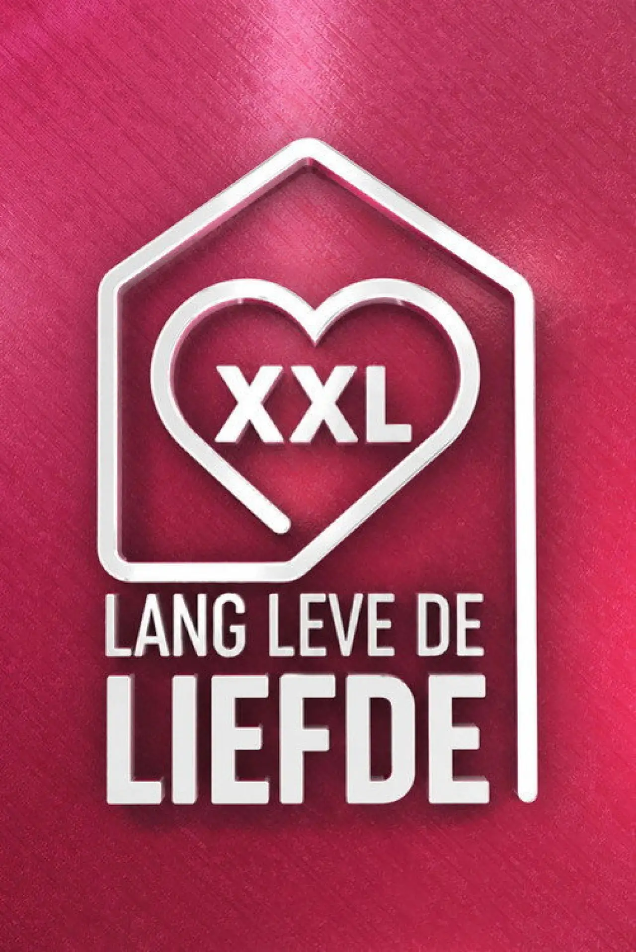 Plakat serialu "Lang Leve de Liefde"