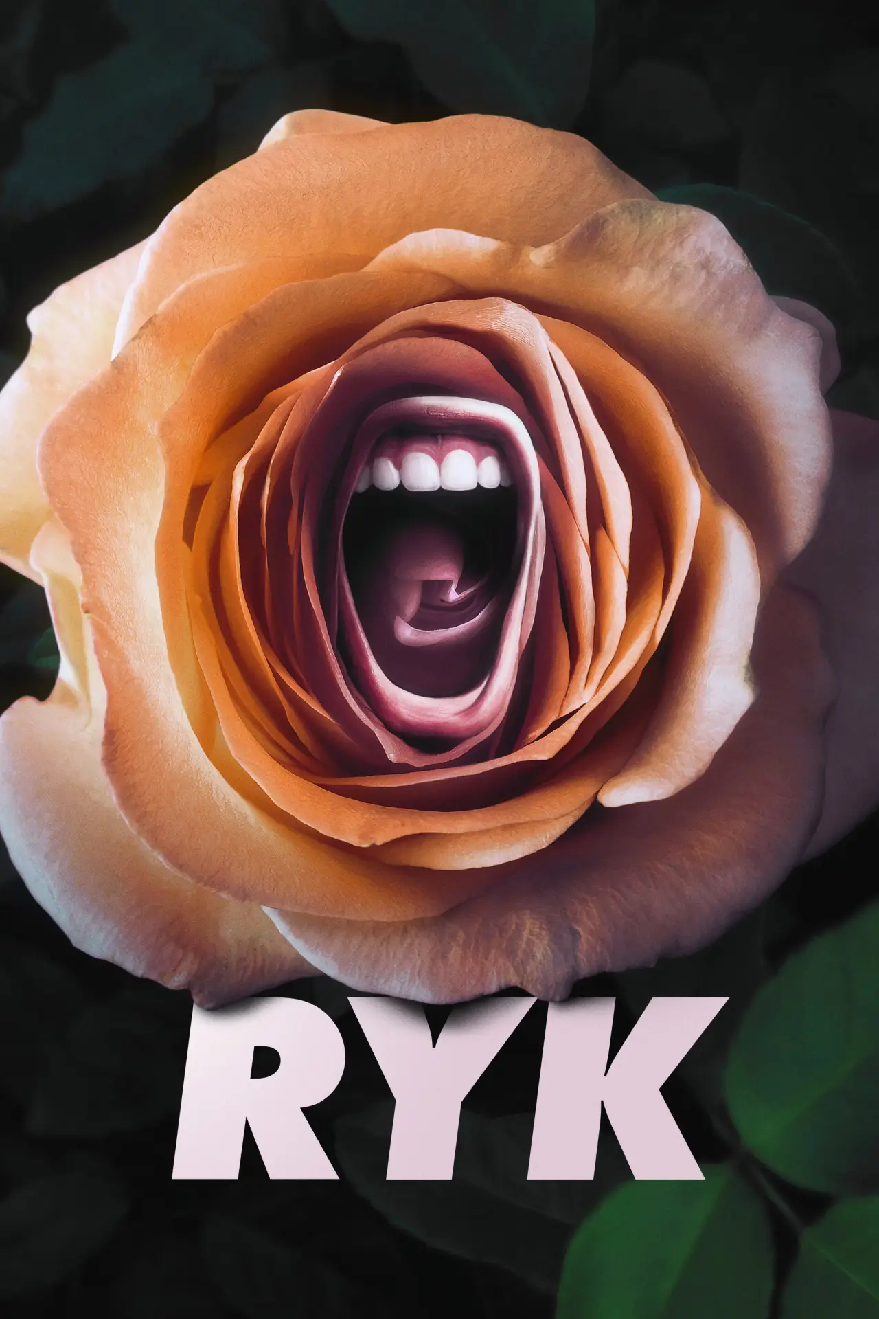 Постер к сериалу "Ryk"