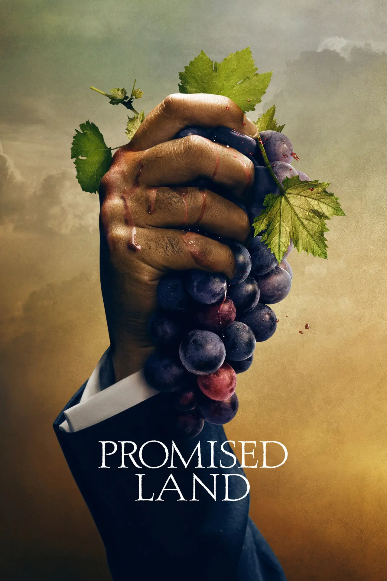 Plakat serialu "Promised Land"