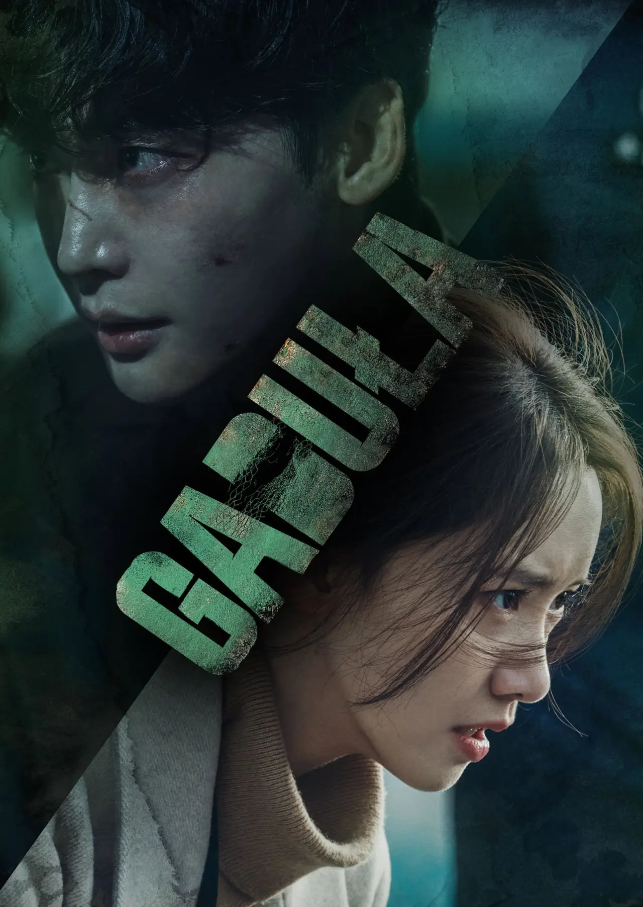 Постер к сериалу "Gaduła"