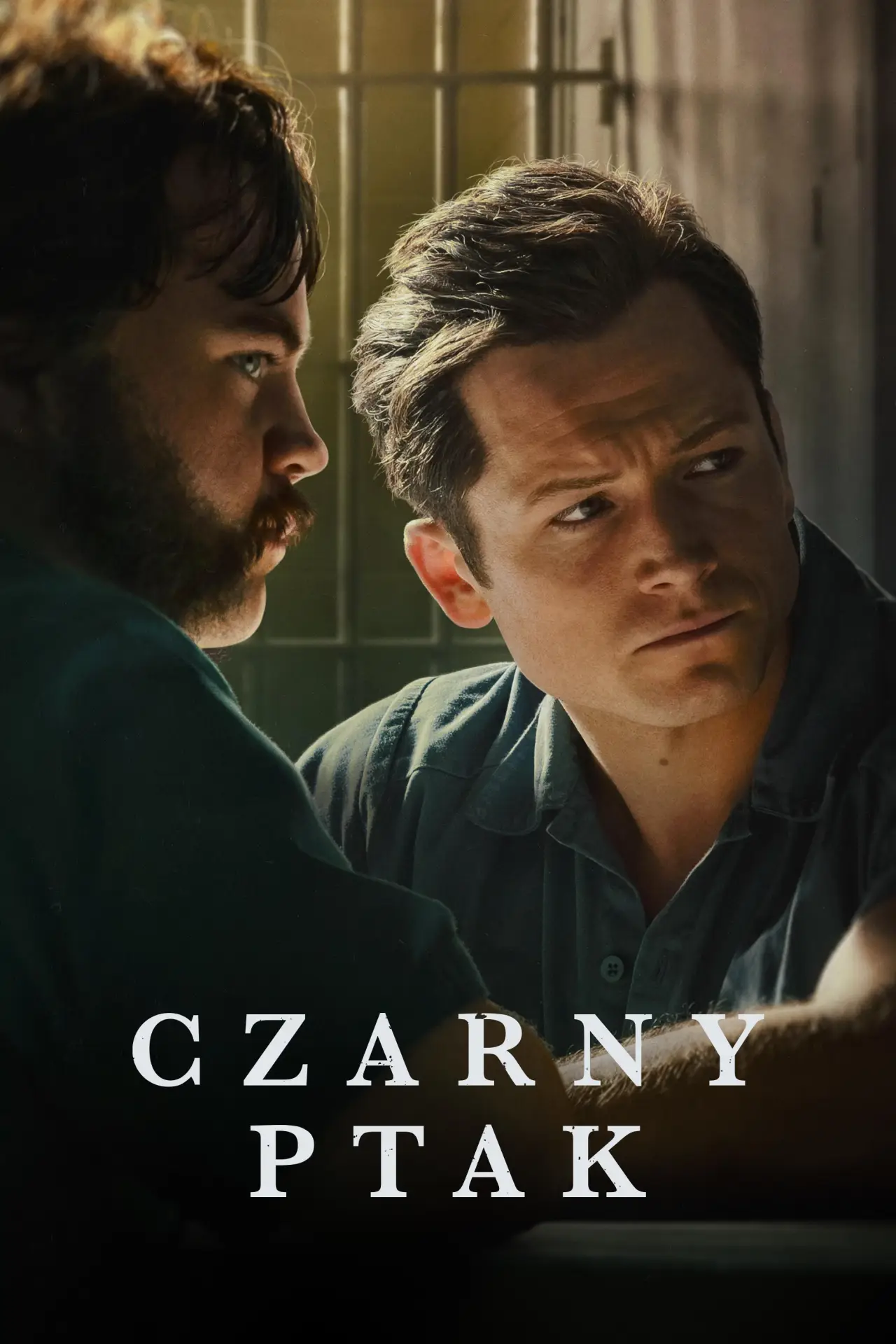 Постер к сериалу "Czarny ptak"