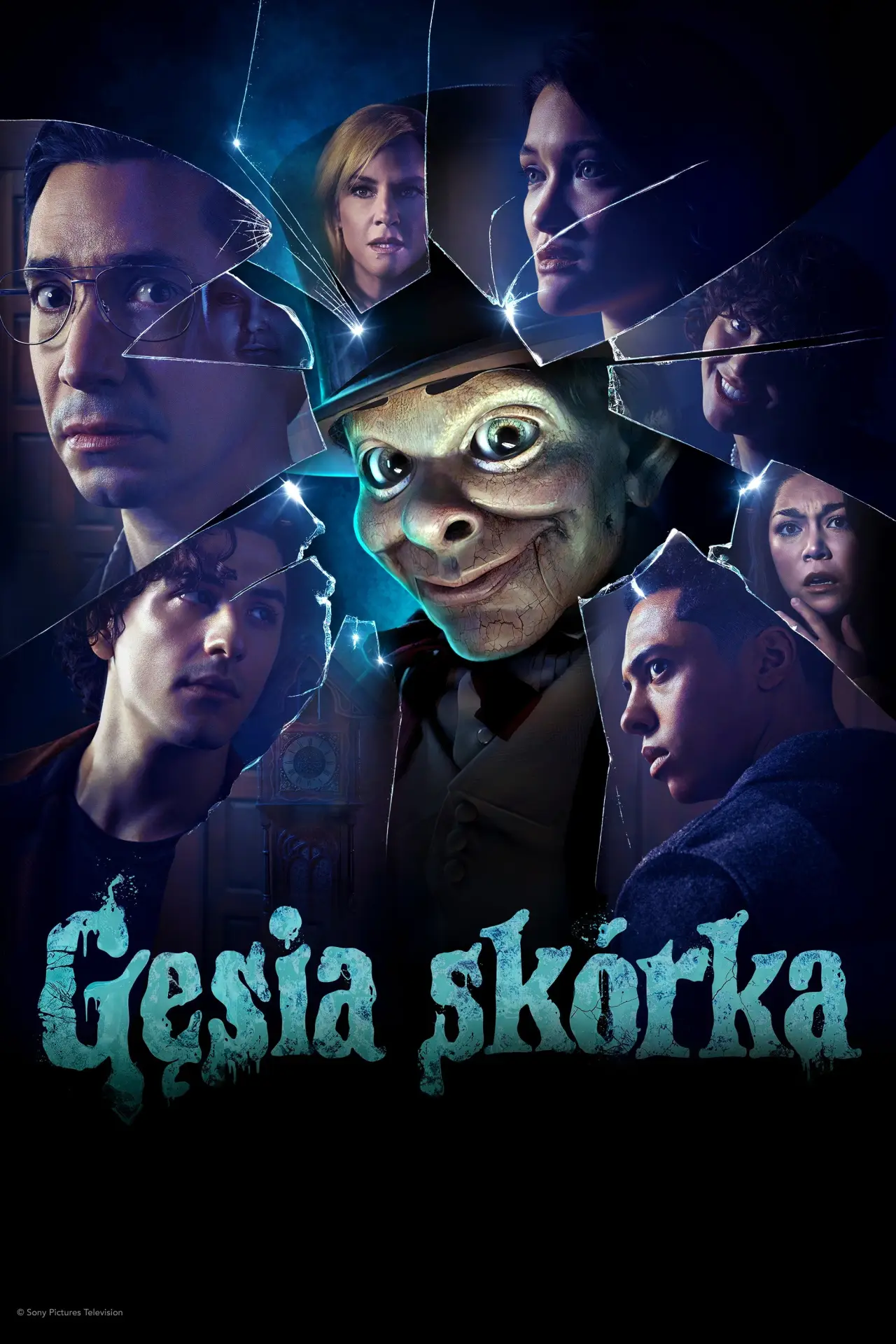 Plakat serialu "Gęsia skórka"