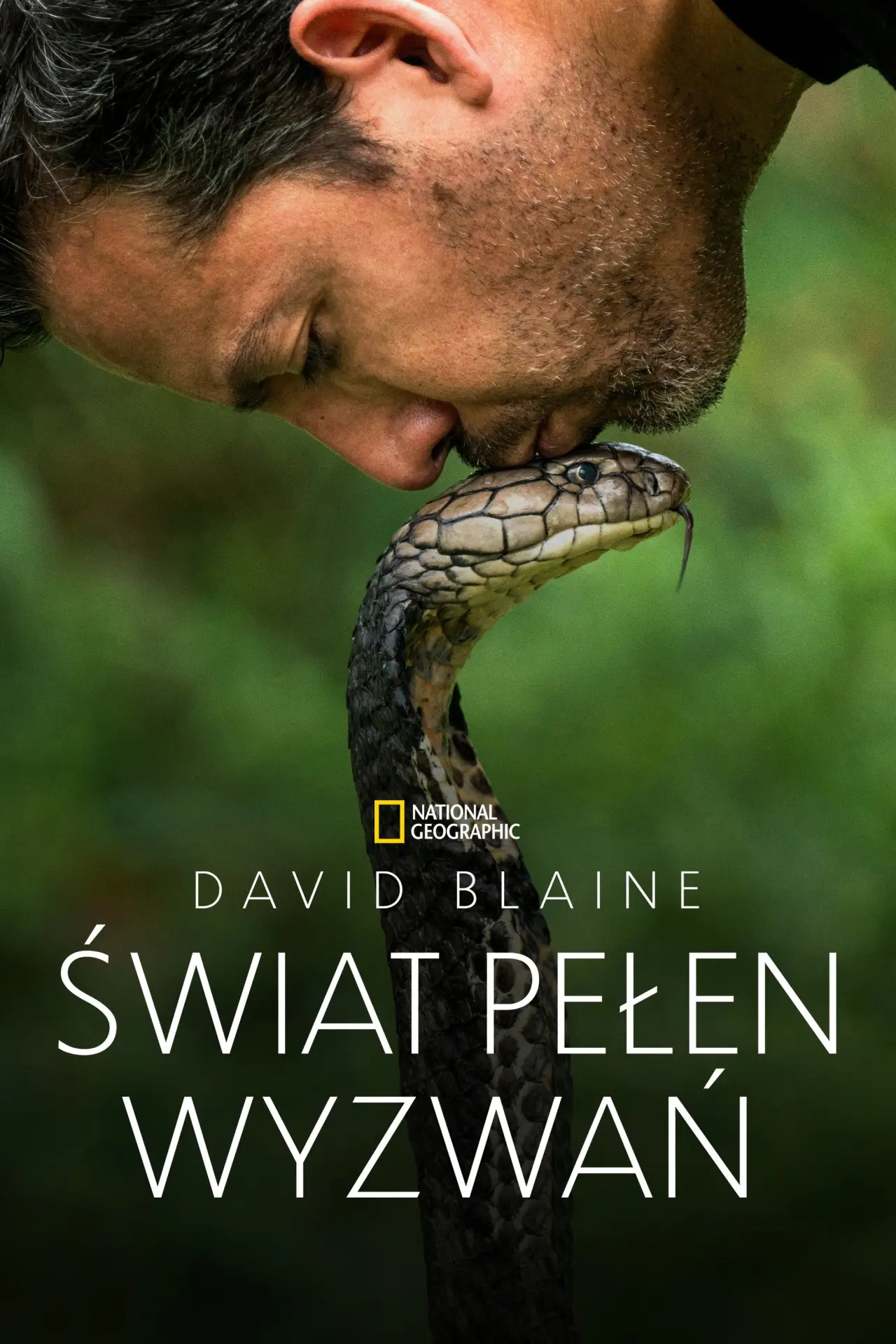 Plakat serialu "David Blaine: Do Not Attempt"