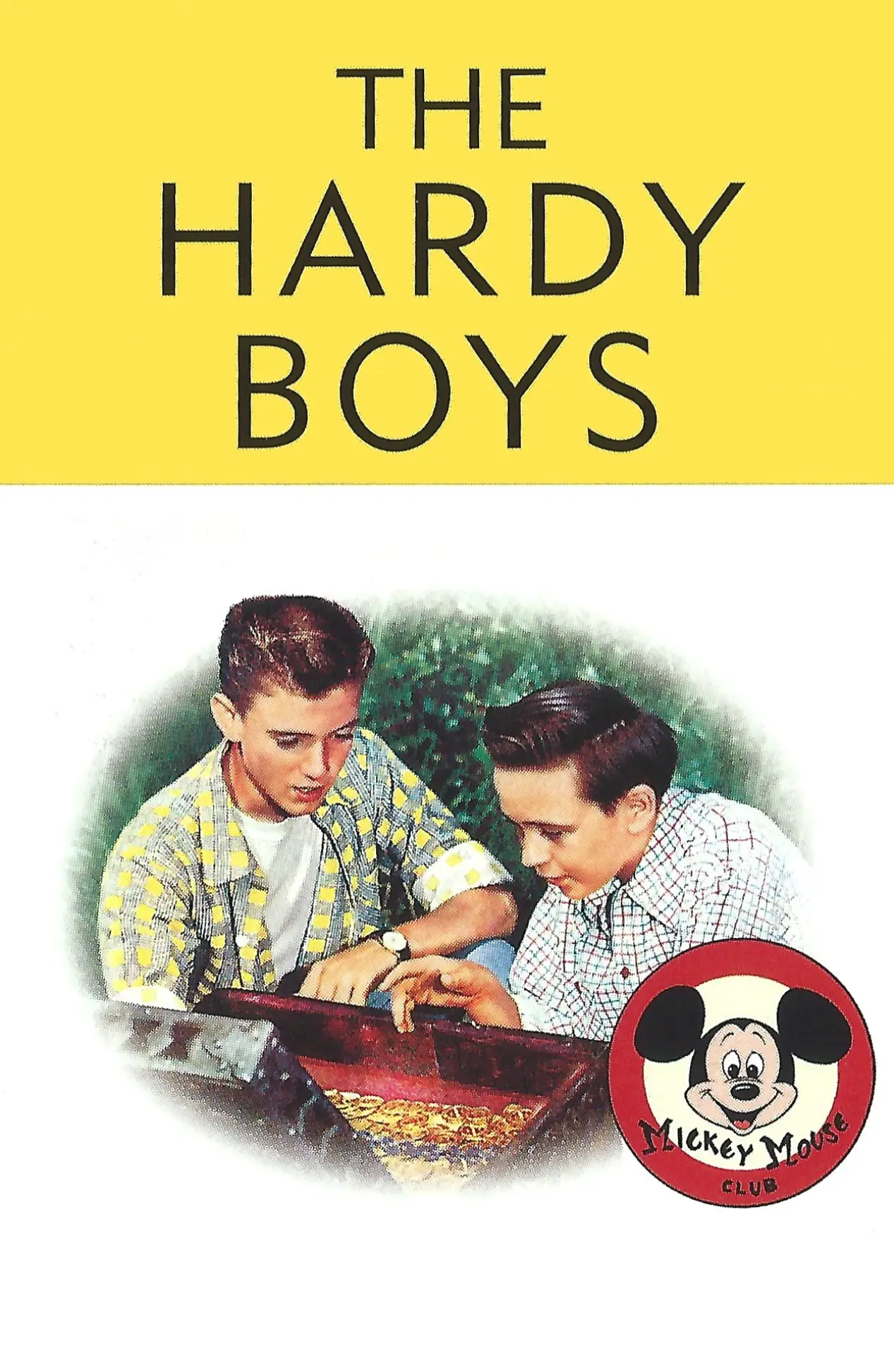 Plakat serialu "Bracia Hardy"