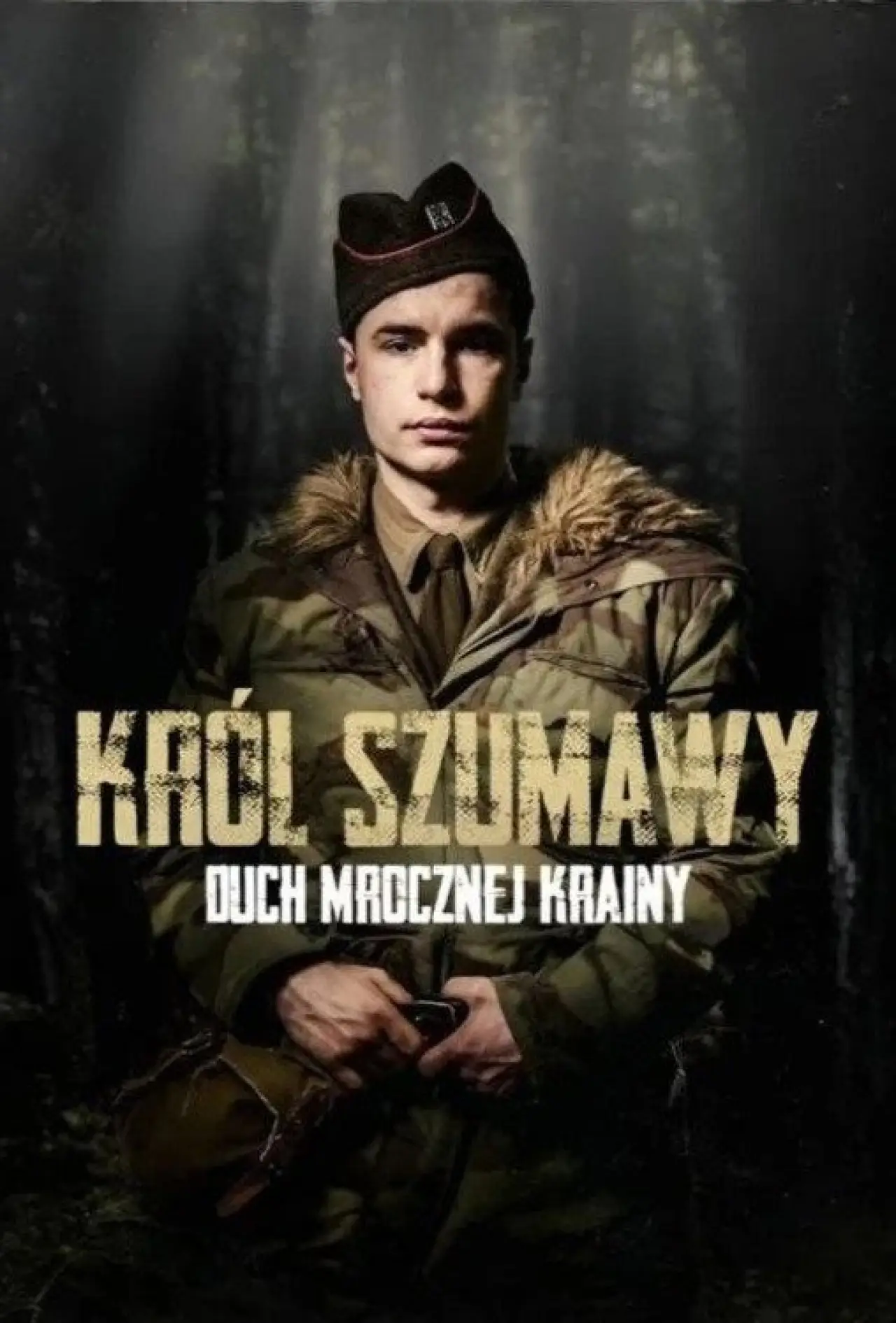 Постер к сериалу "Król Szumawy. Duch mrocznej krainy"