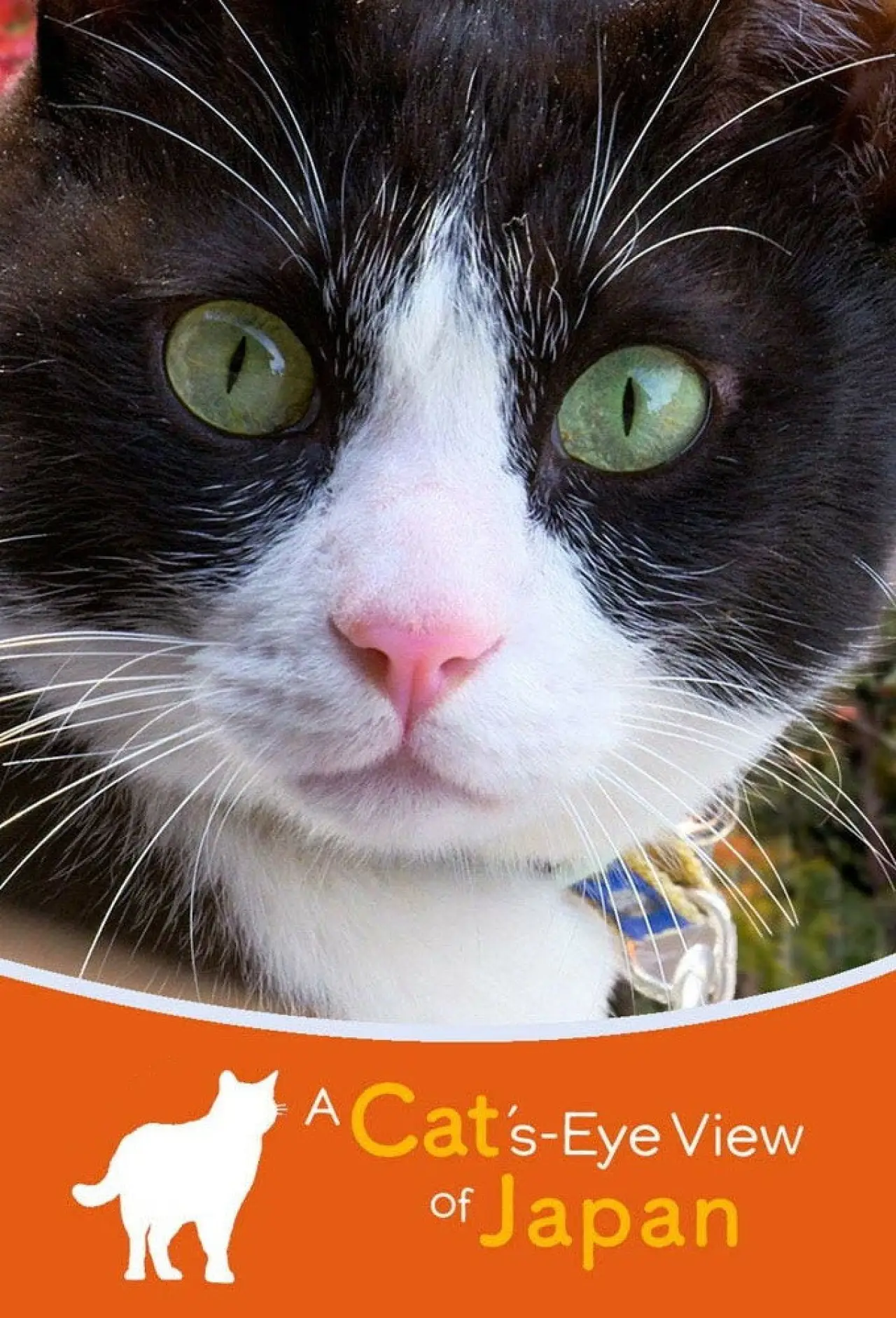 Plakat serialu "A Cat