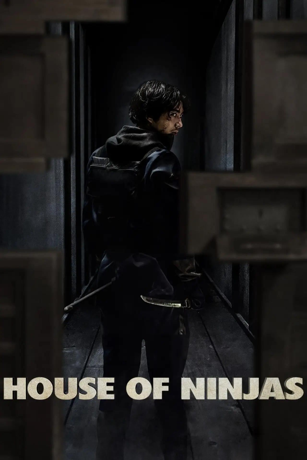 Plakat serialu "Dom ninja"