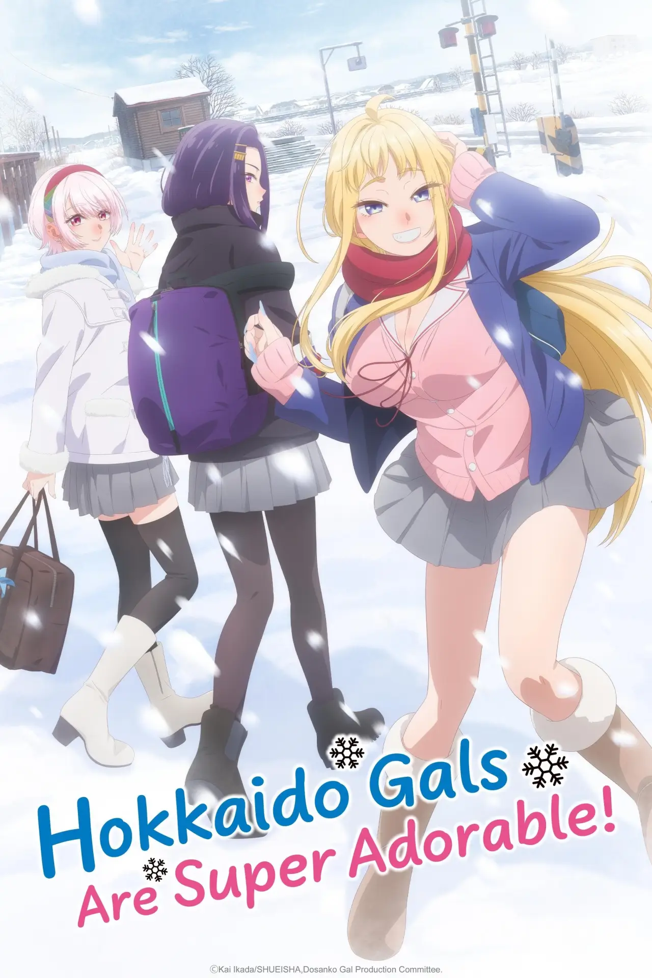 Plakat serialu "Dosanko Gal wa Namara Menkoi"