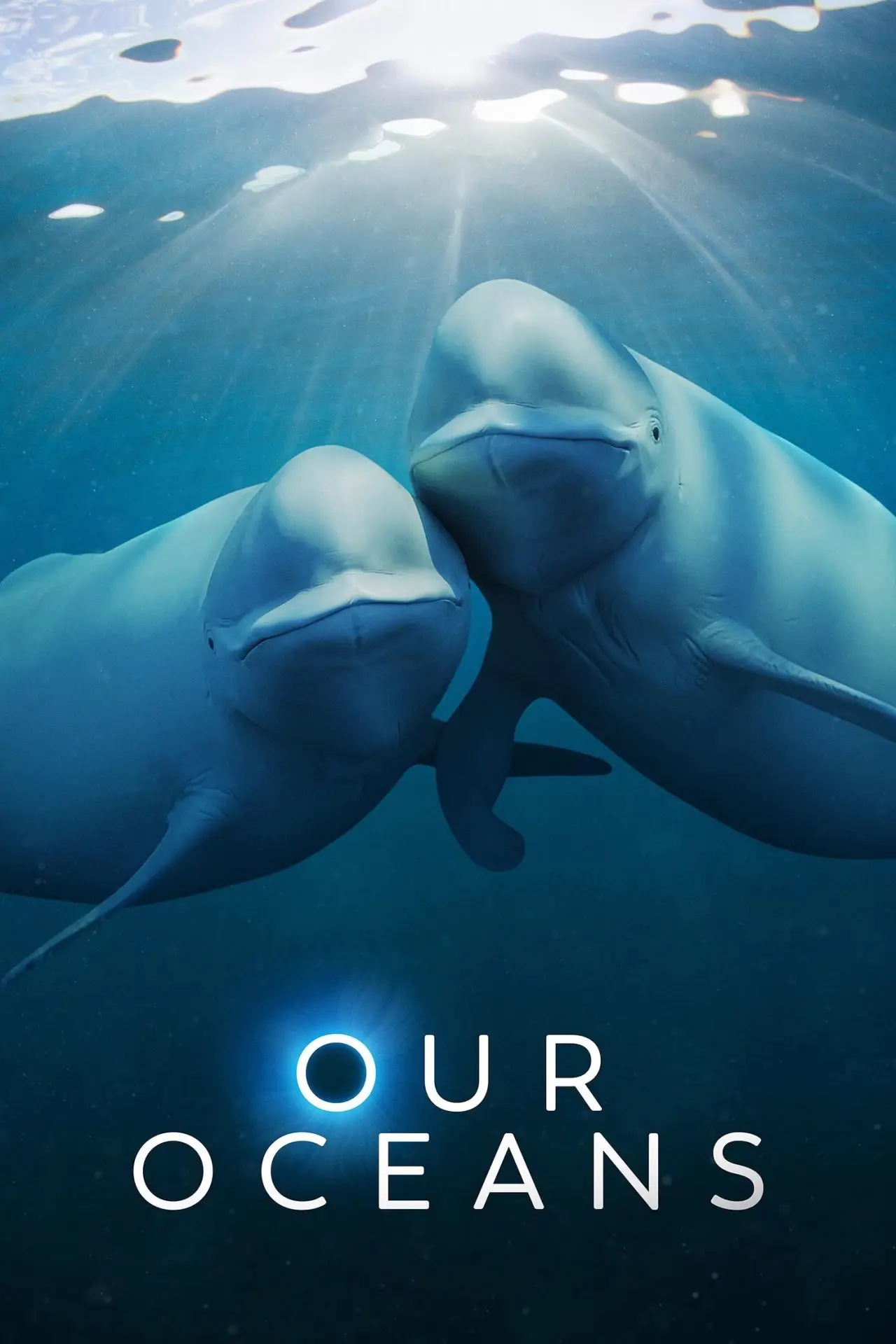 Постер к сериалу "Nasze oceany"