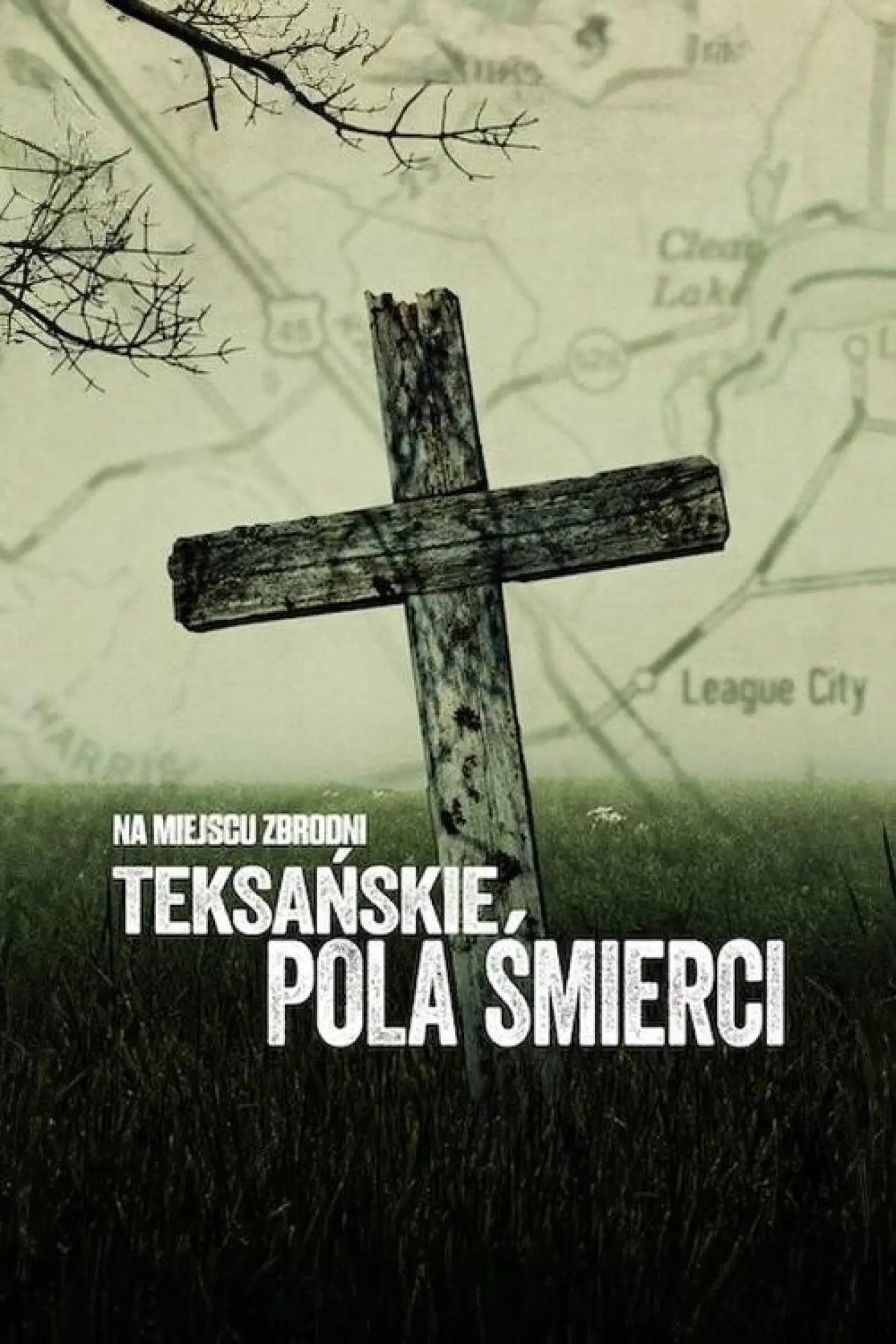 Plakat serialu "Na miejscu zbrodni: Teksańskie pola śmierci"