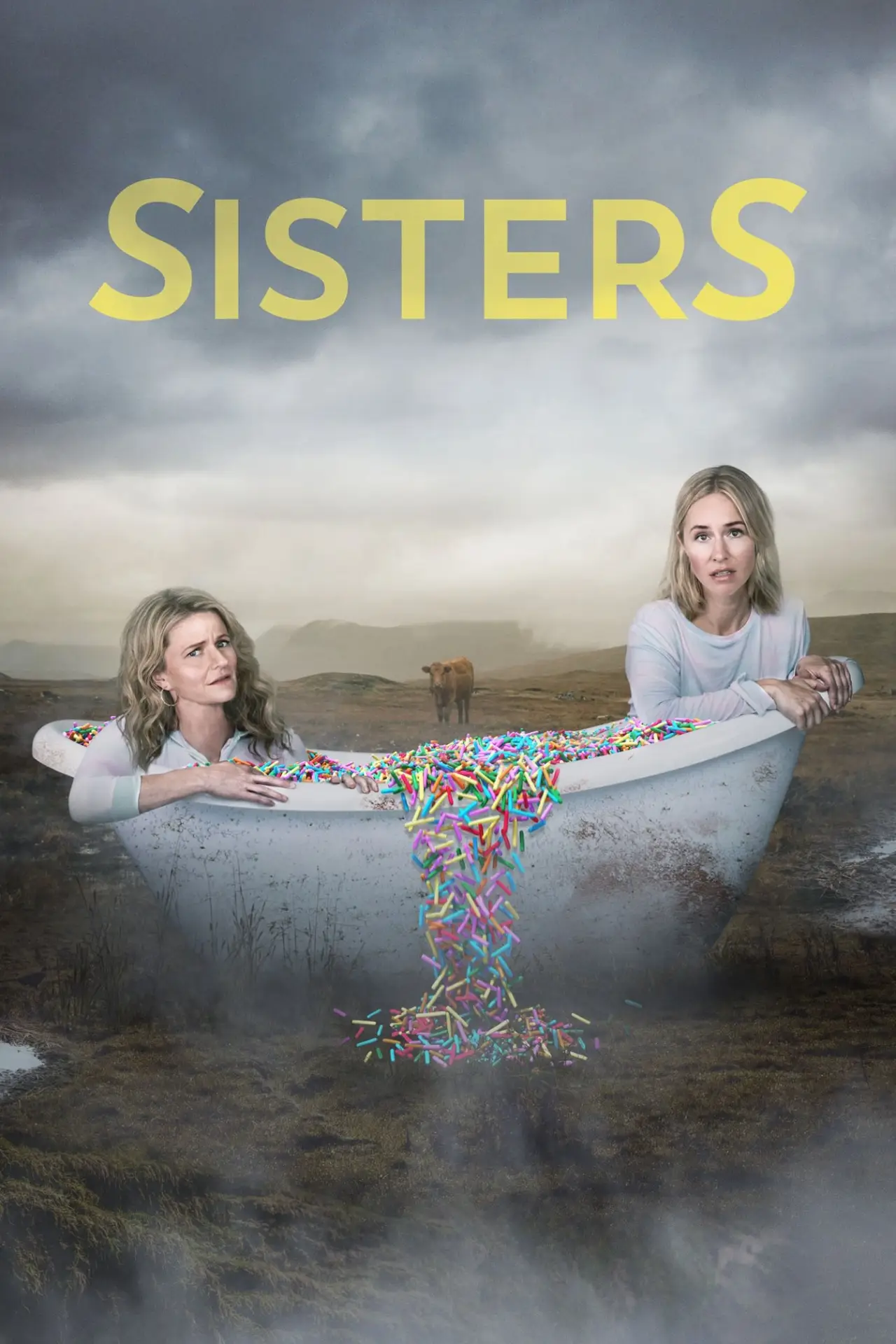 Постер к сериалу "SisterS"