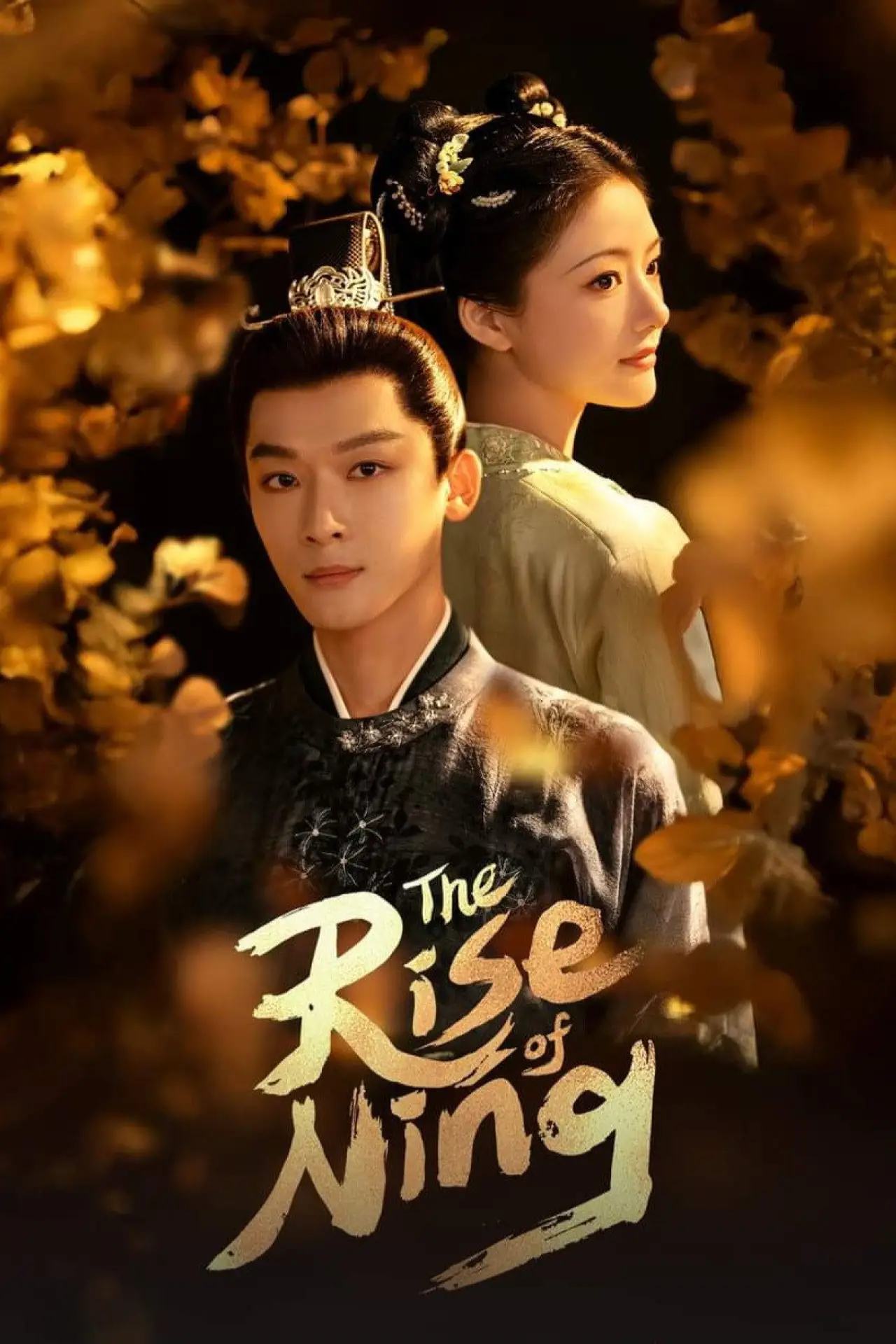 Plakat serialu "锦绣安宁"