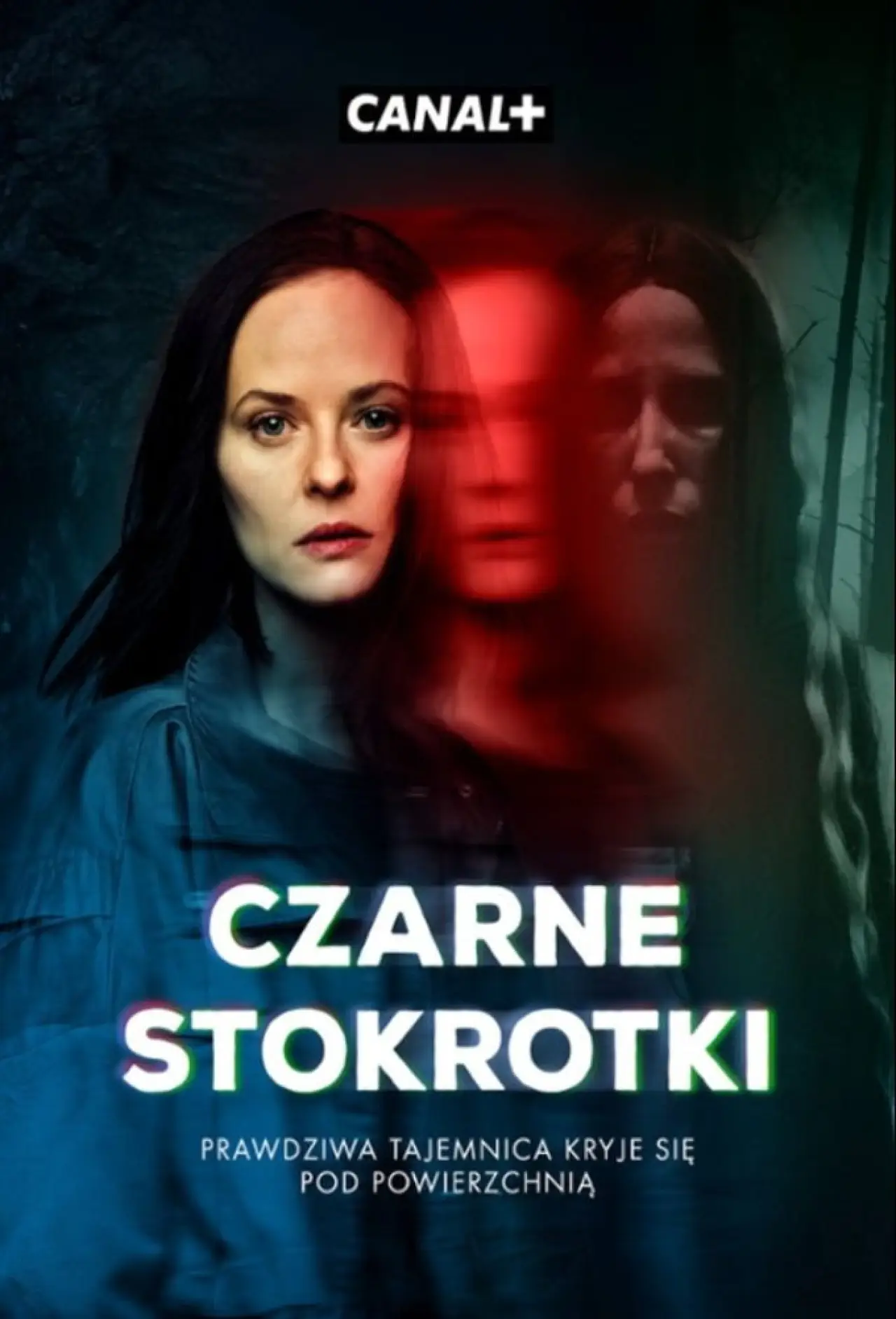 Plakat serialu "Czarne Stokrotki"