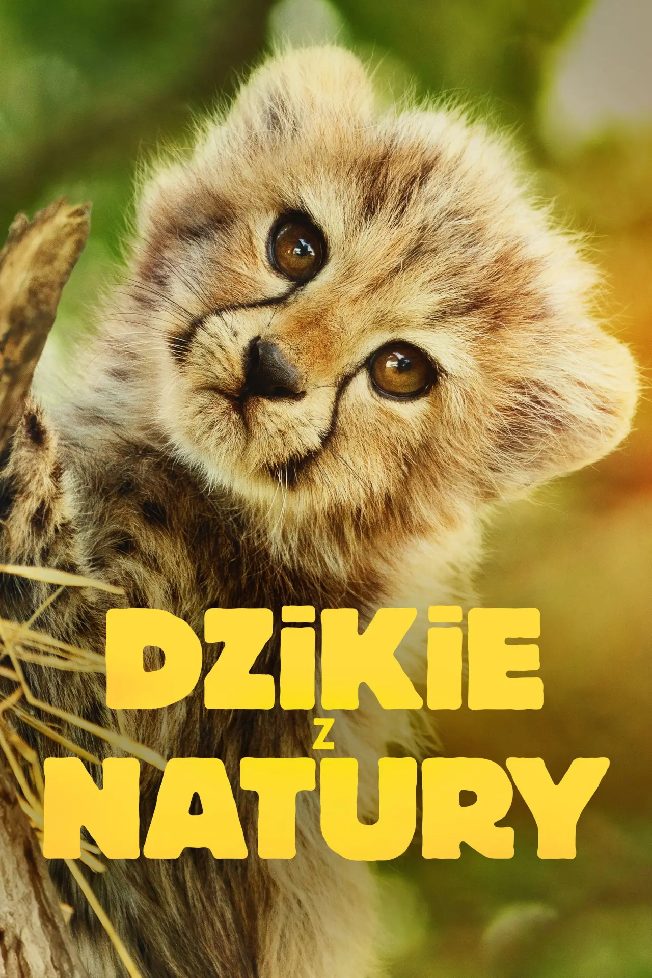 Plakat serialu "Dzikie z natury"