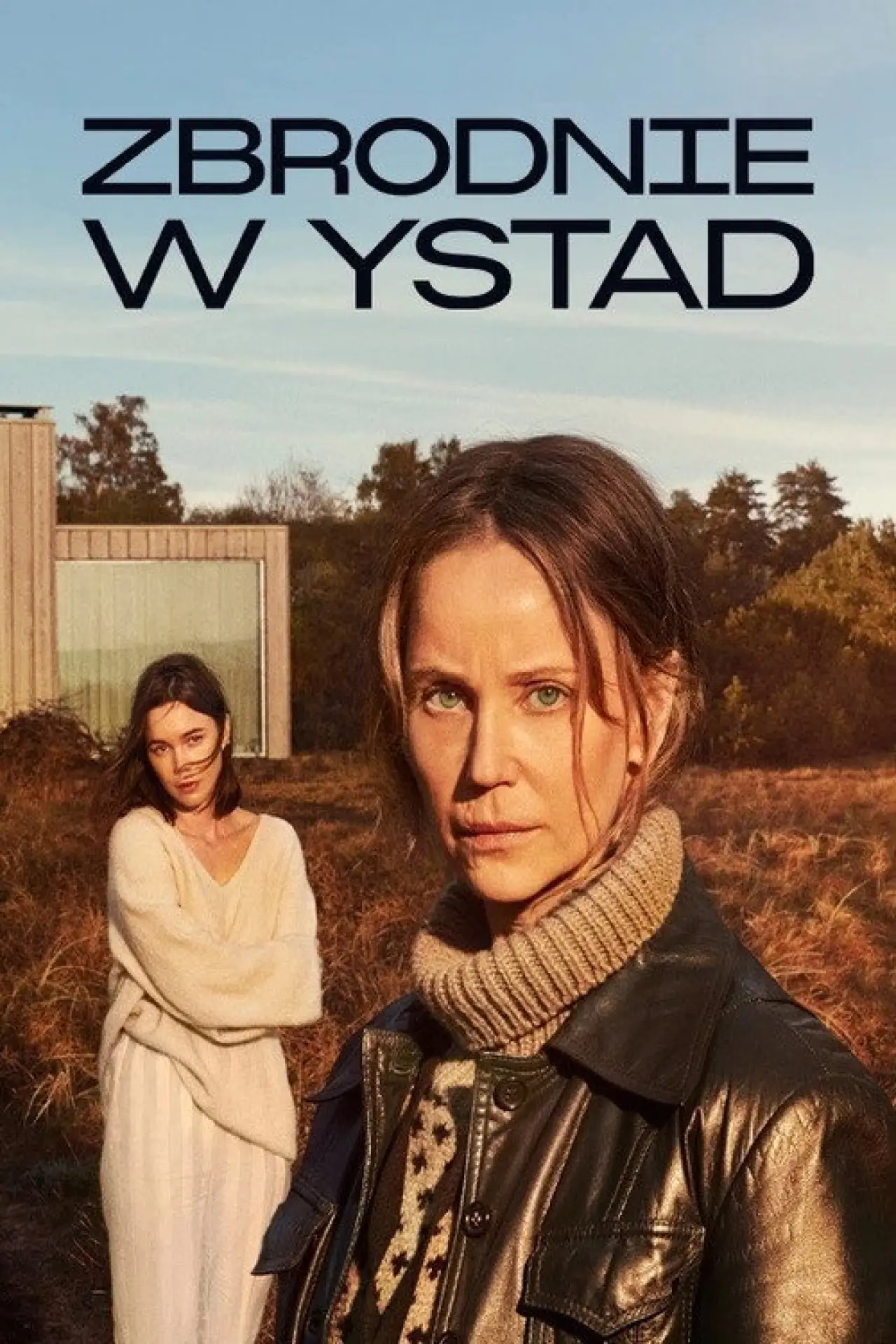 Plakat serialu "Zbrodnie w Ystad"