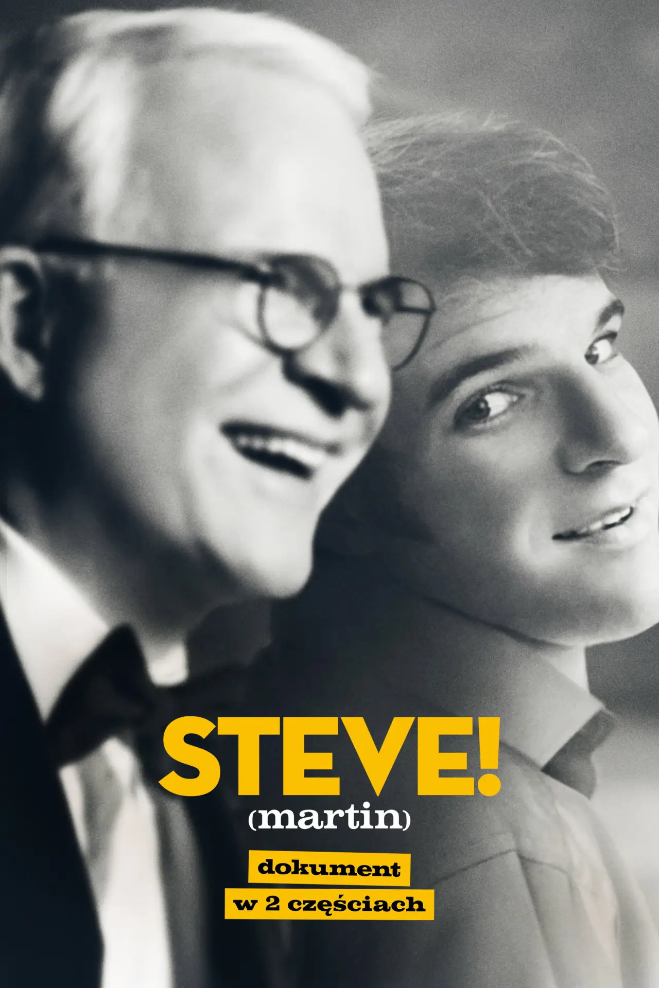 Plakat serialu "STEVE! (martin): dokument w 2 częściach"