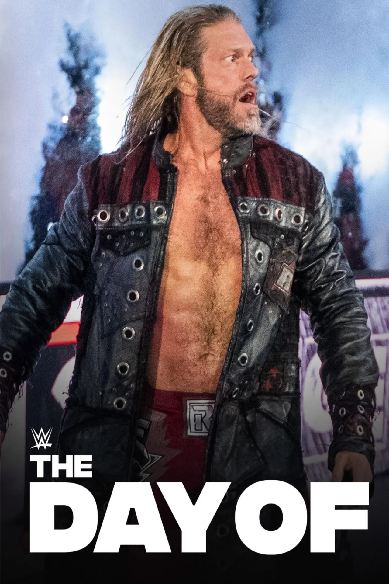 Plakat serialu "WWE The Day Of"