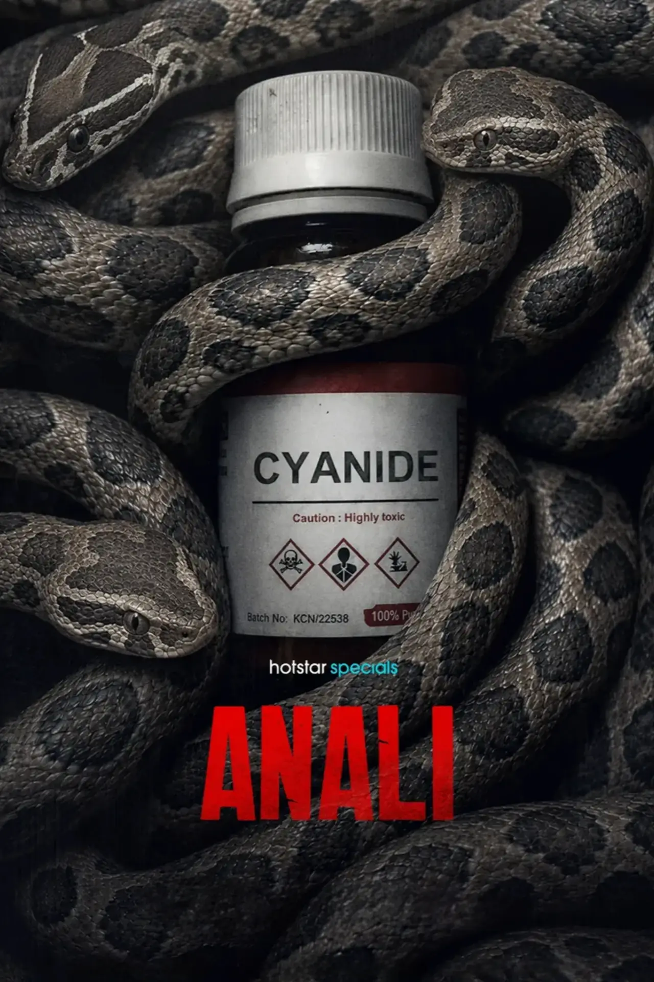 Plakat serialu "Anali"