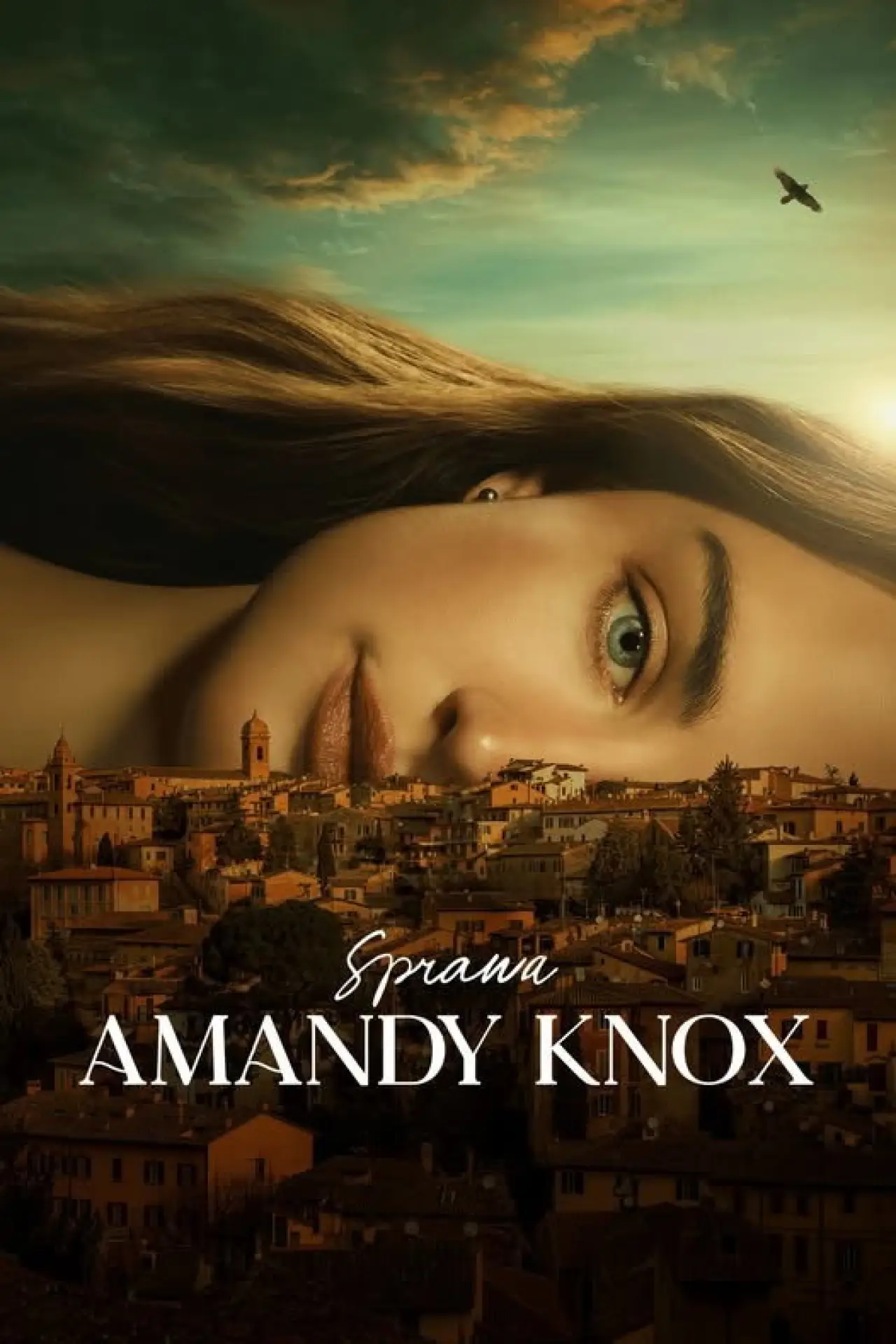 Plakat serialu "Sprawa Amandy Knox"