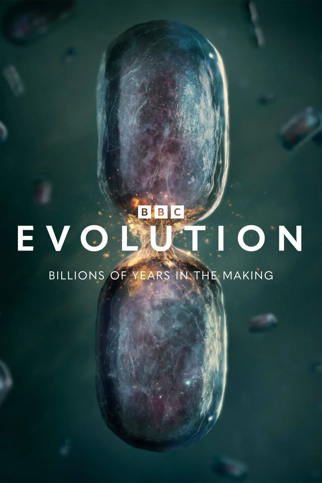 Plakat serialu "Evolution"