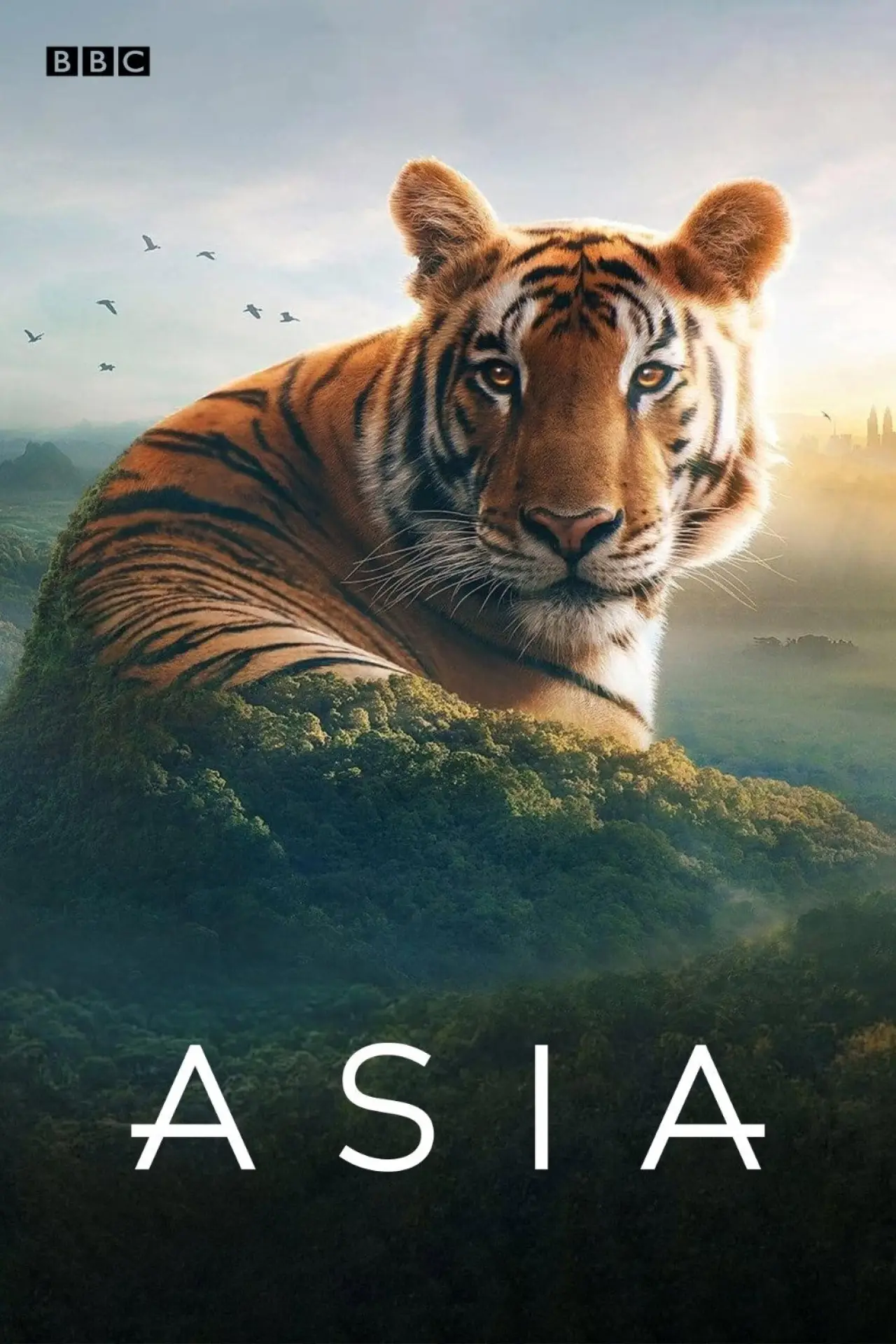 Постер к сериалу "Asia"