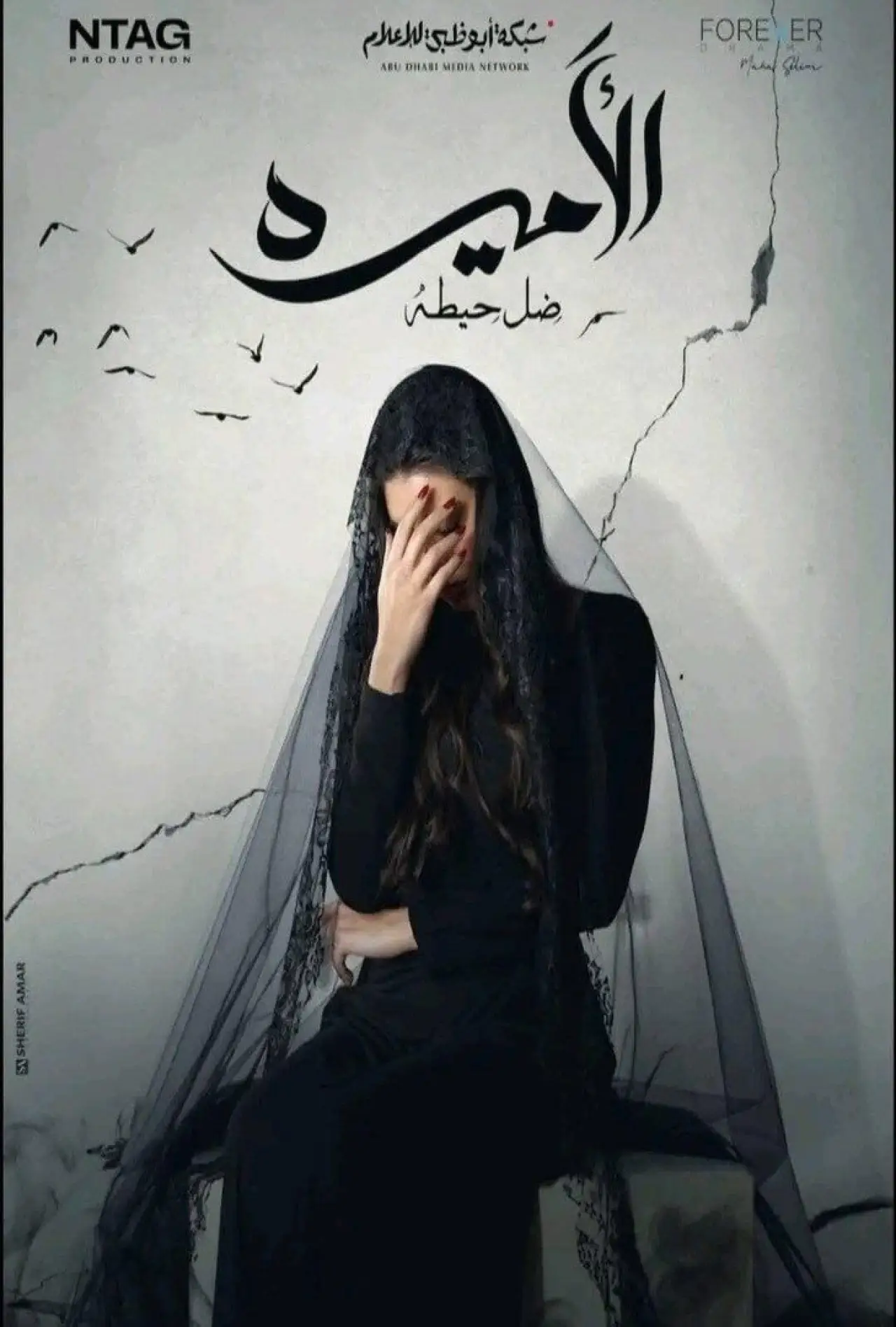 Plakat serialu "Al-Ameera: Thill Haita"